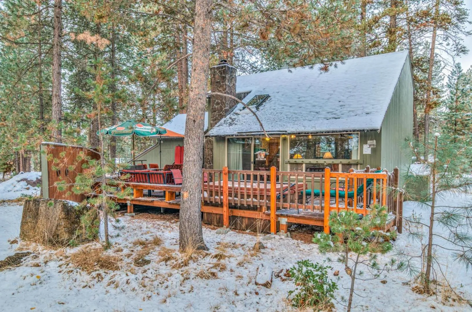 Pine Needle - Unit 7