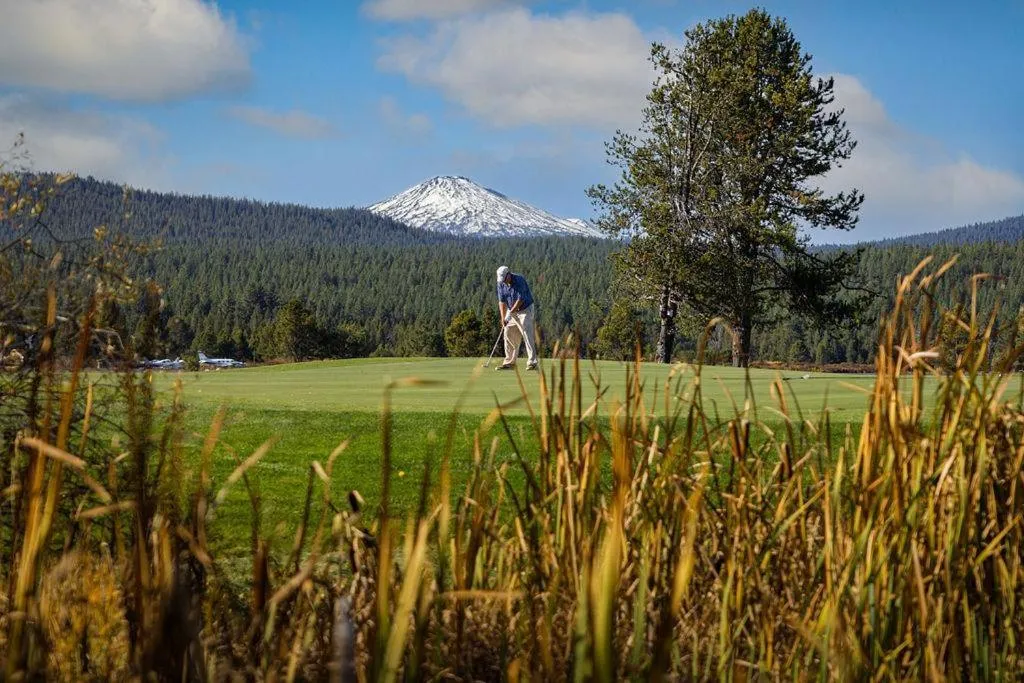 Pine Needle - Unit 7