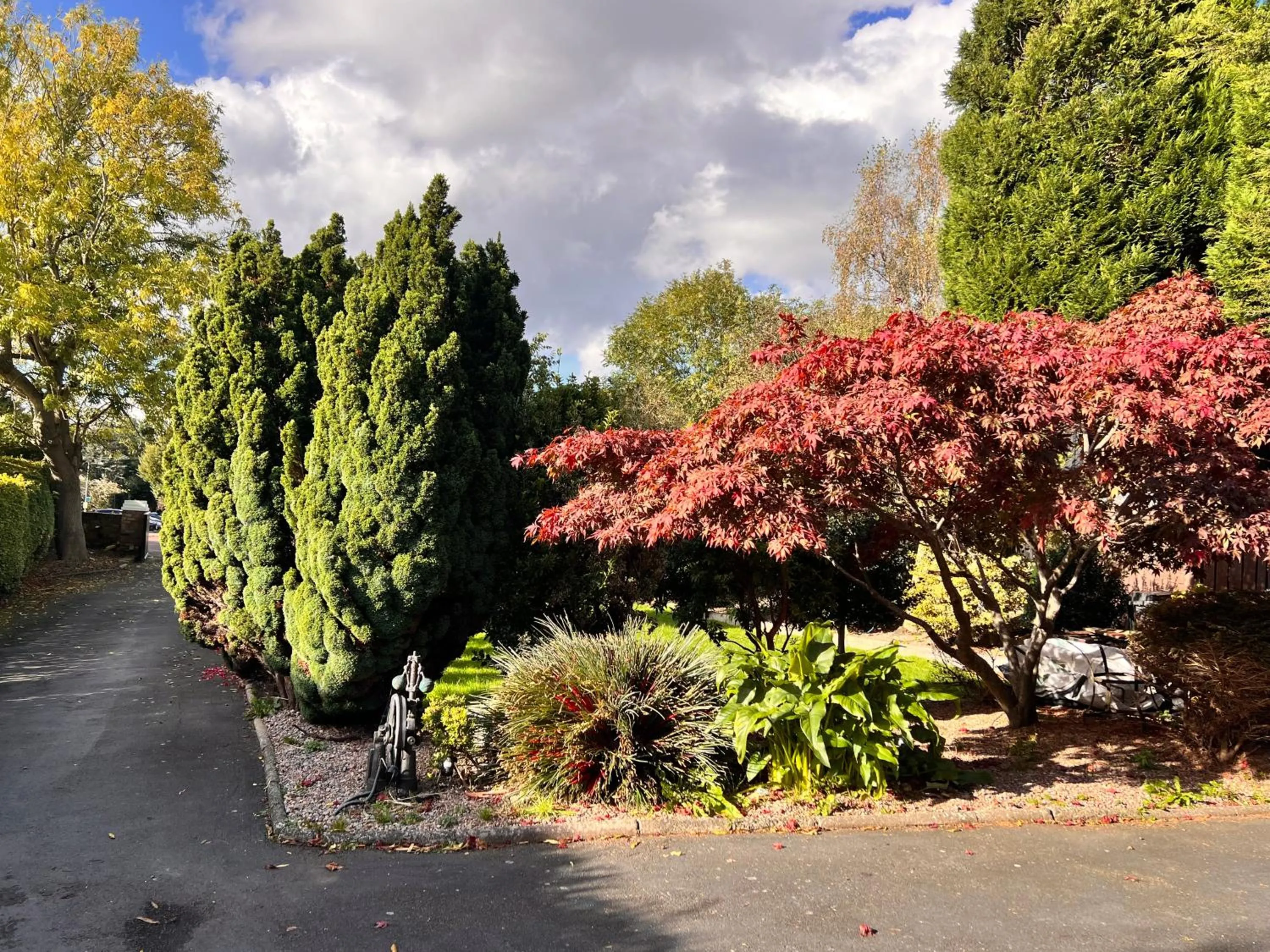 Garden in Ashfield Bed & Breakfast