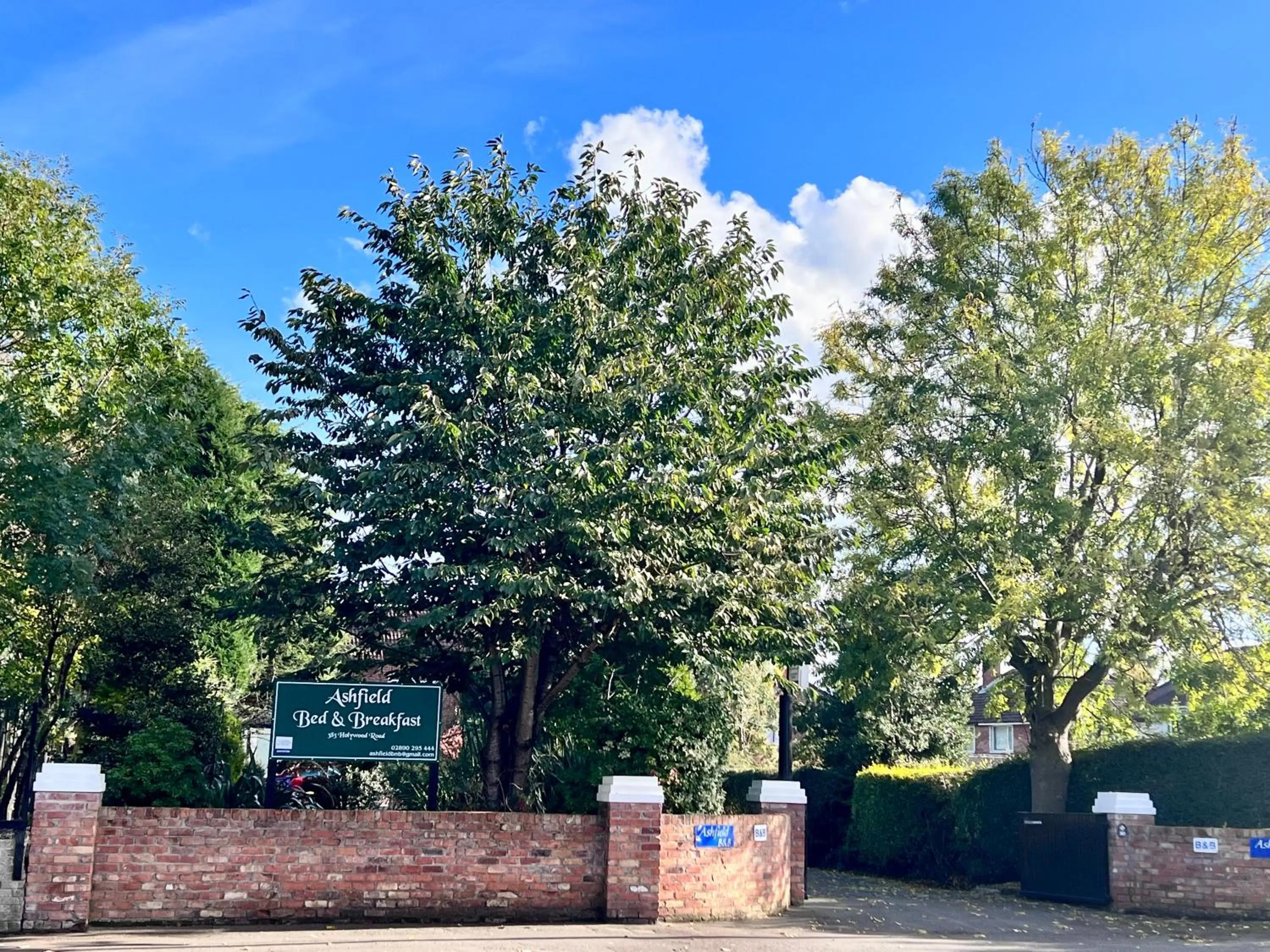 Property building in Ashfield Bed & Breakfast