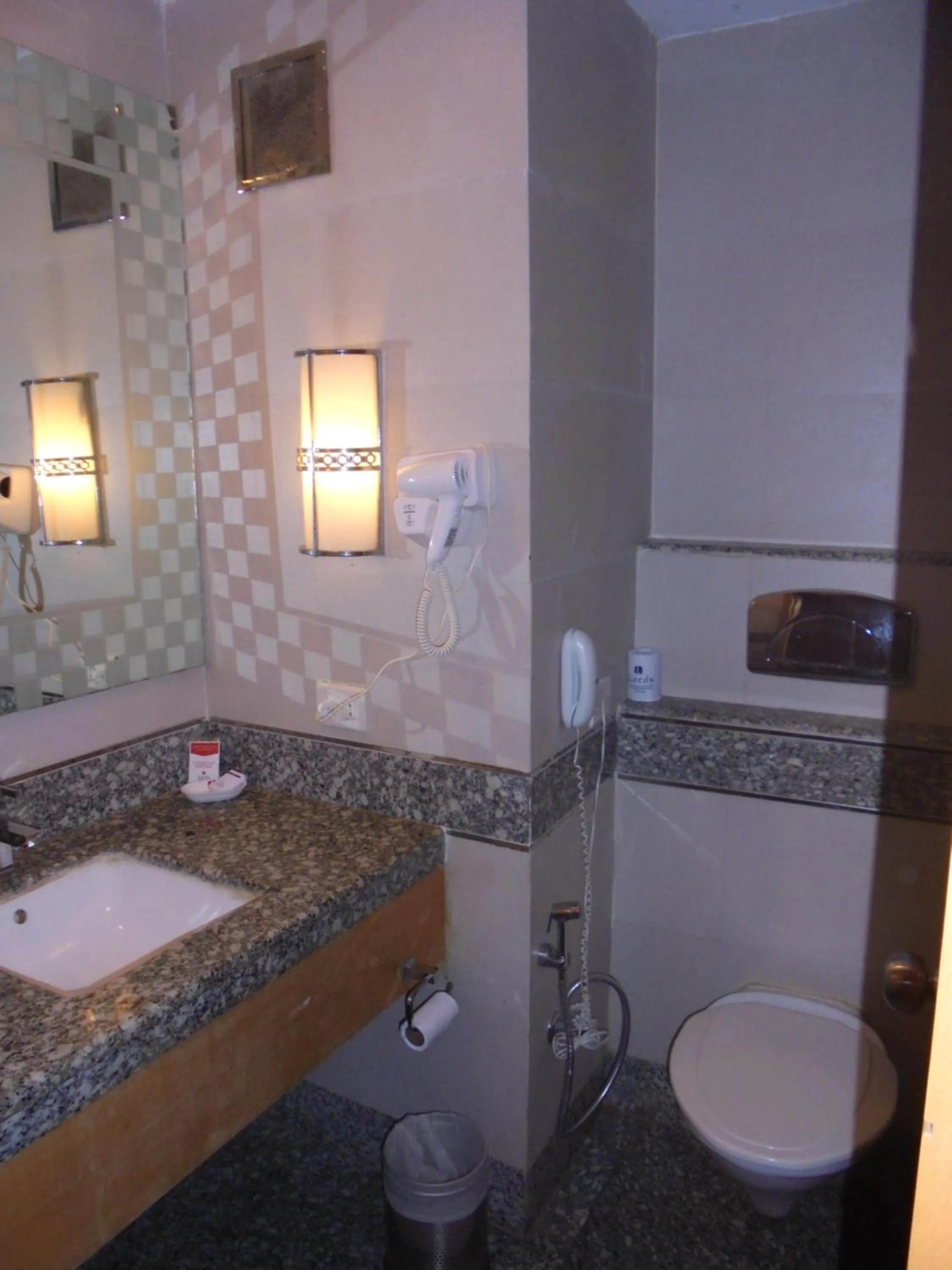 Bathroom in Lords Plaza Ankleshwar