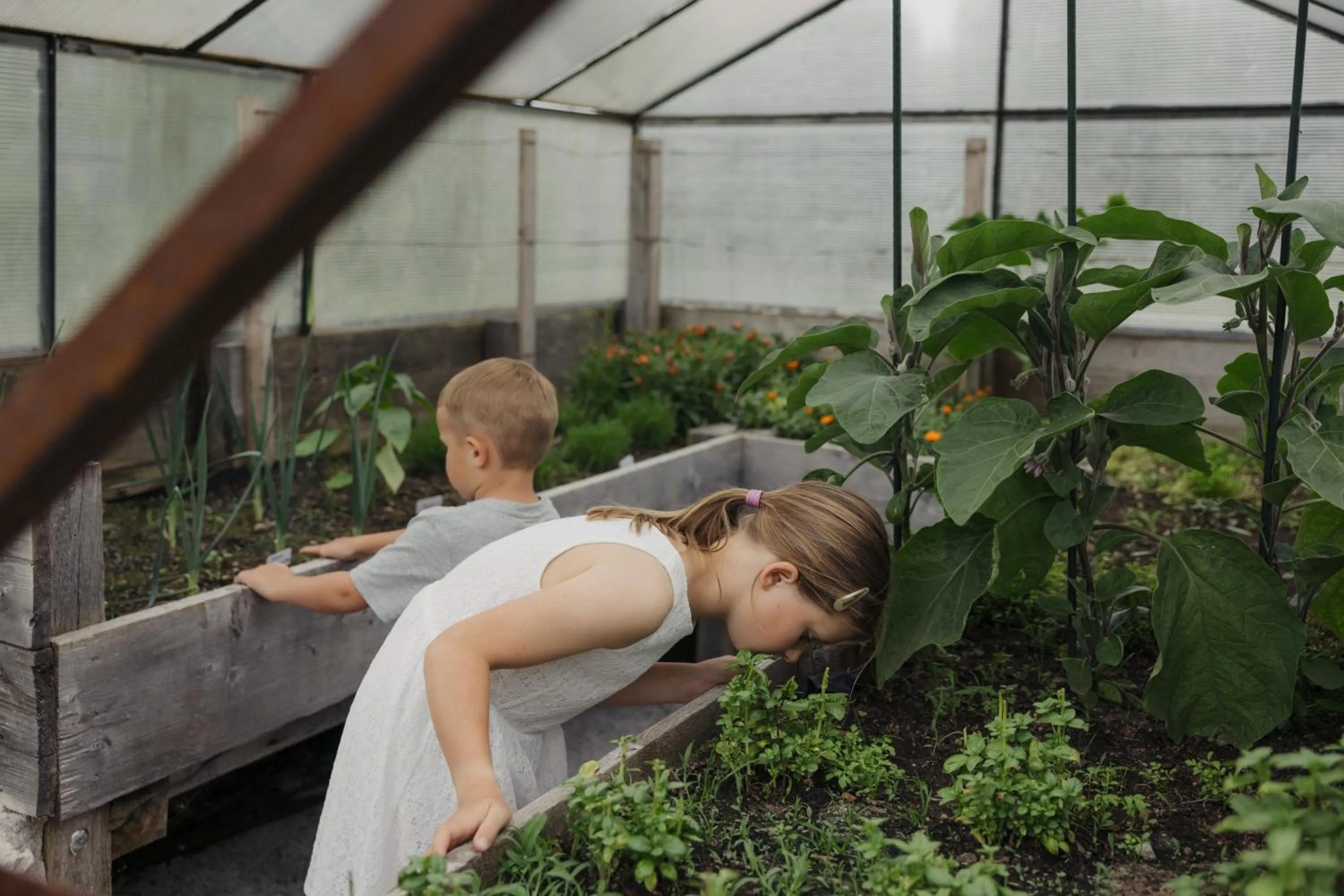 Garden in Hotel Kaiser in Tirol