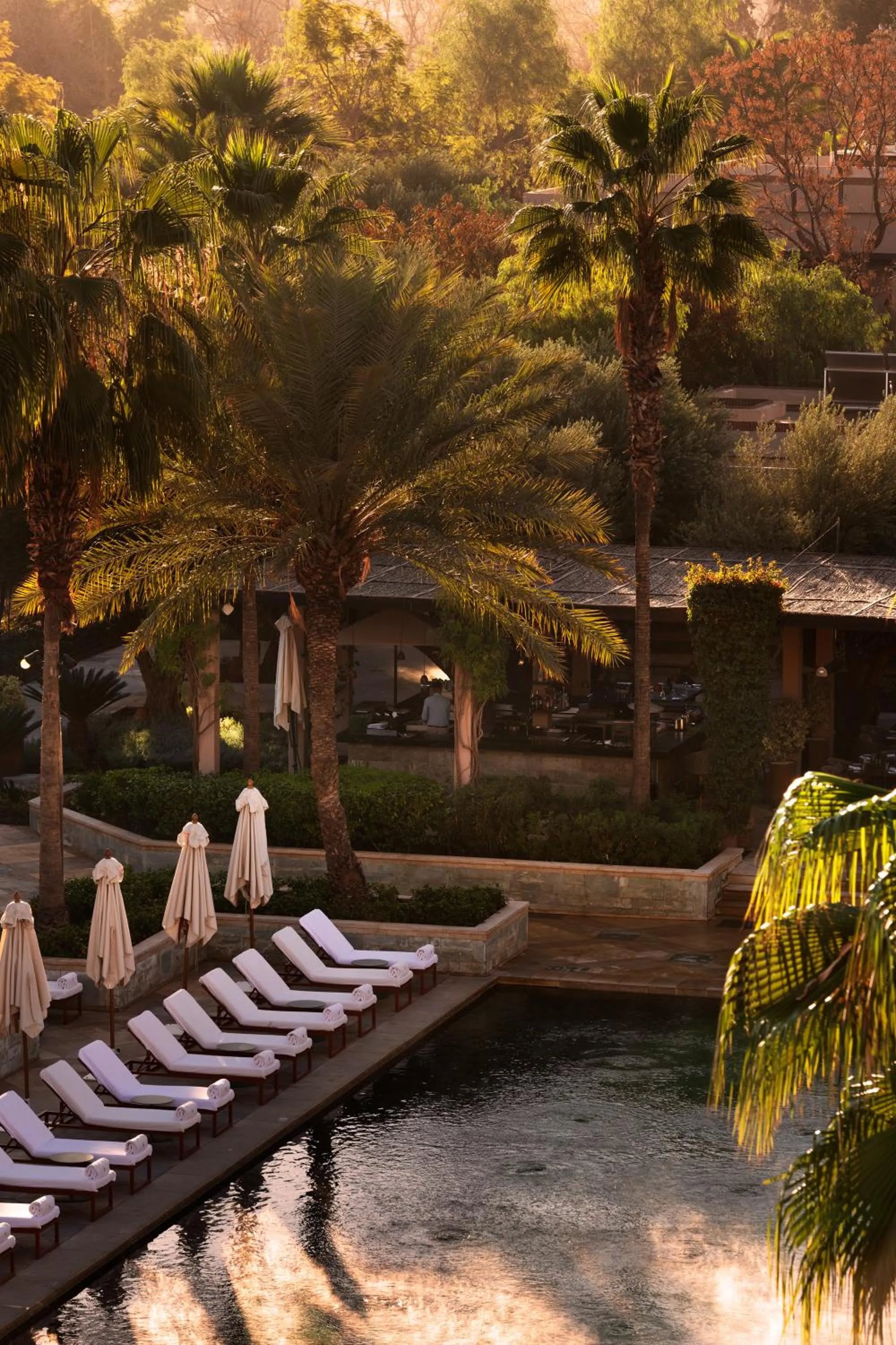 Garden in Four Seasons Resort Marrakech