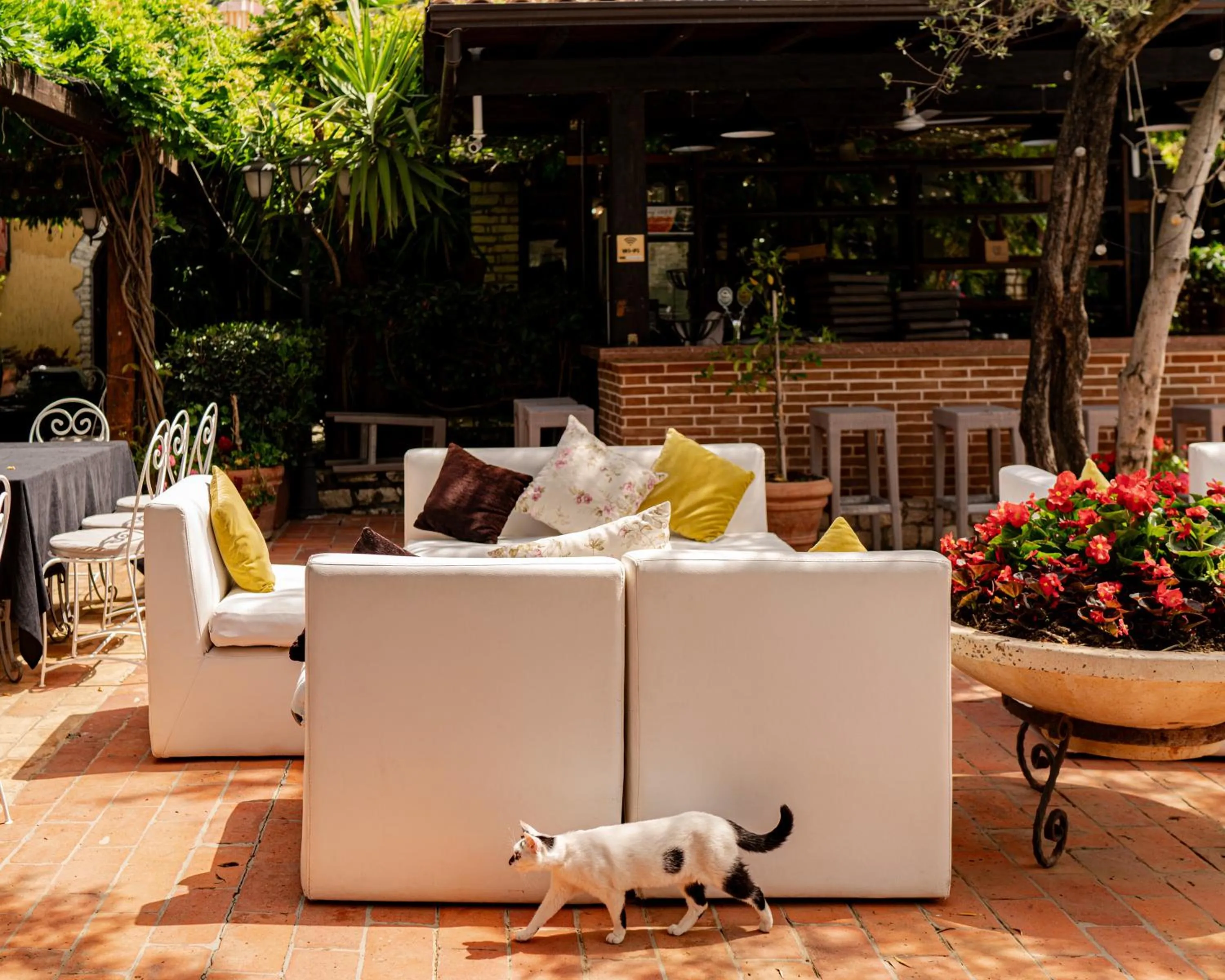 Lounge or bar in Vila Belvedere