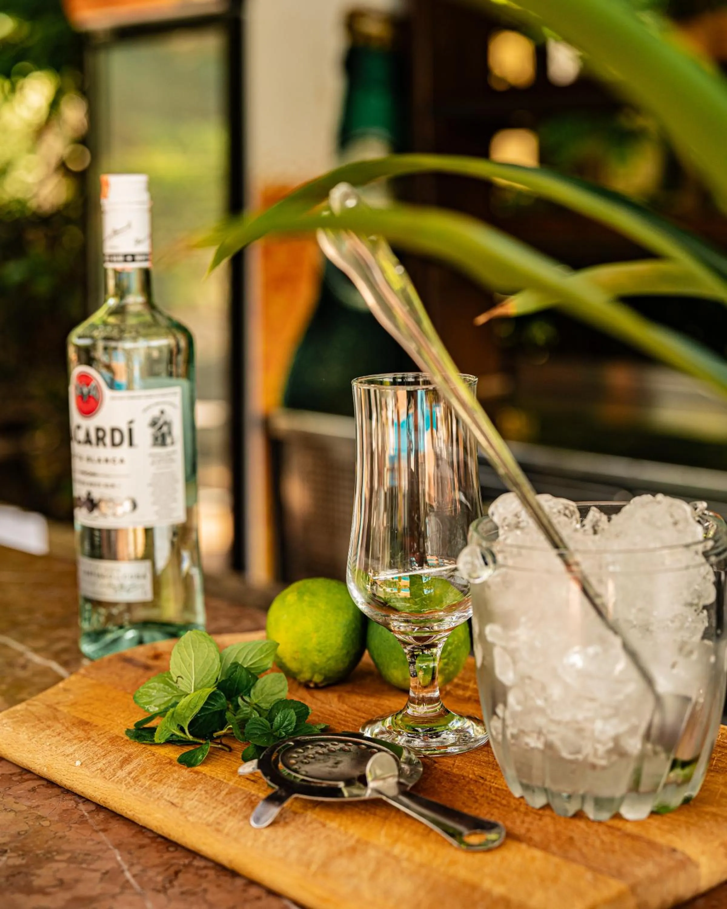 Drinks in Vila Belvedere