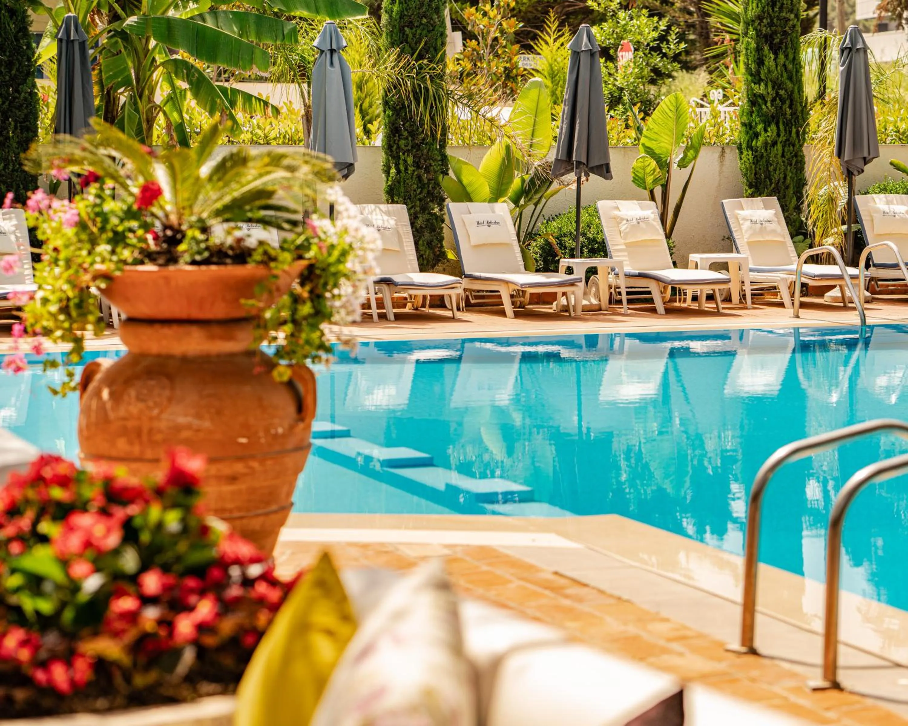 Garden in Vila Belvedere