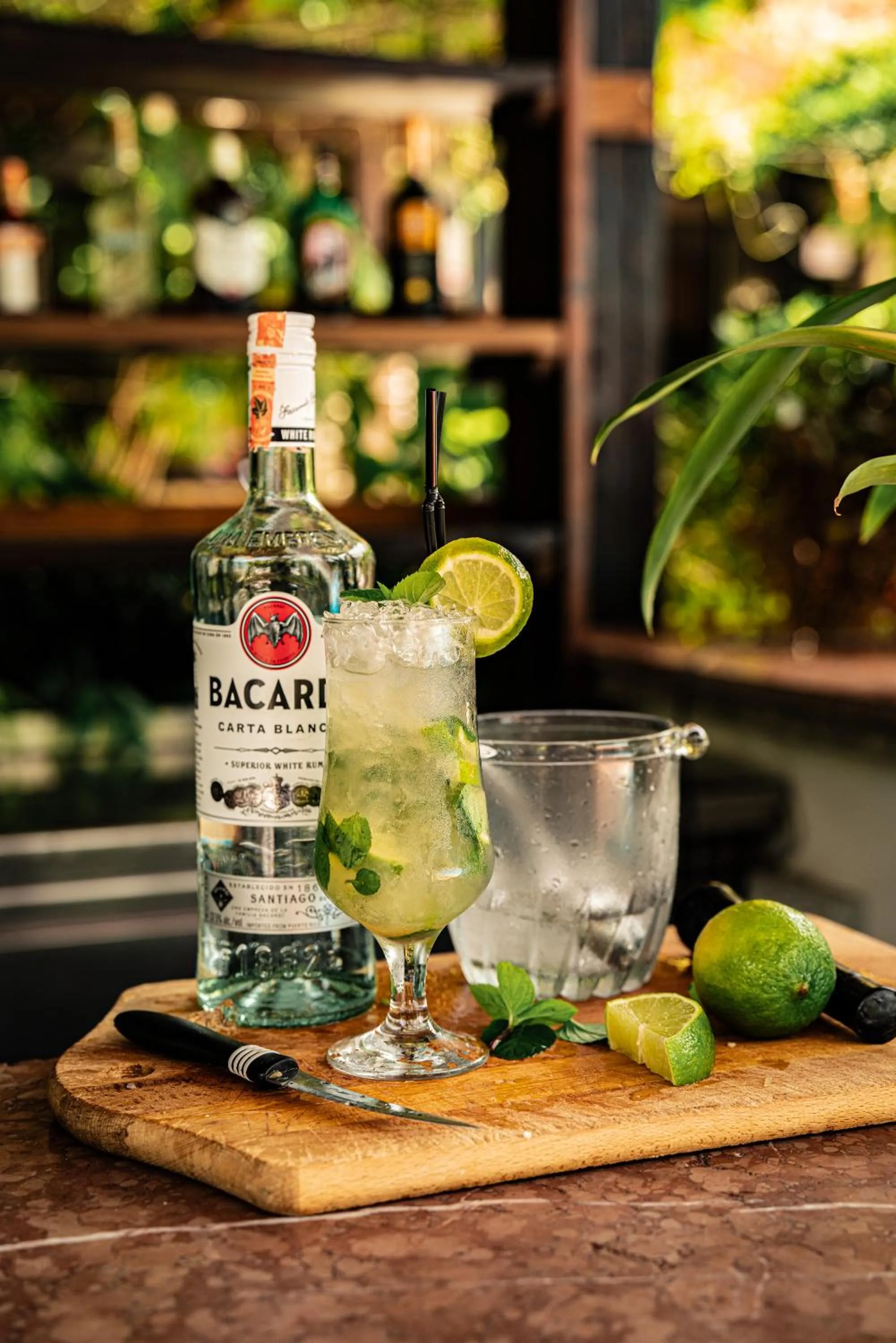 Lounge or bar in Vila Belvedere