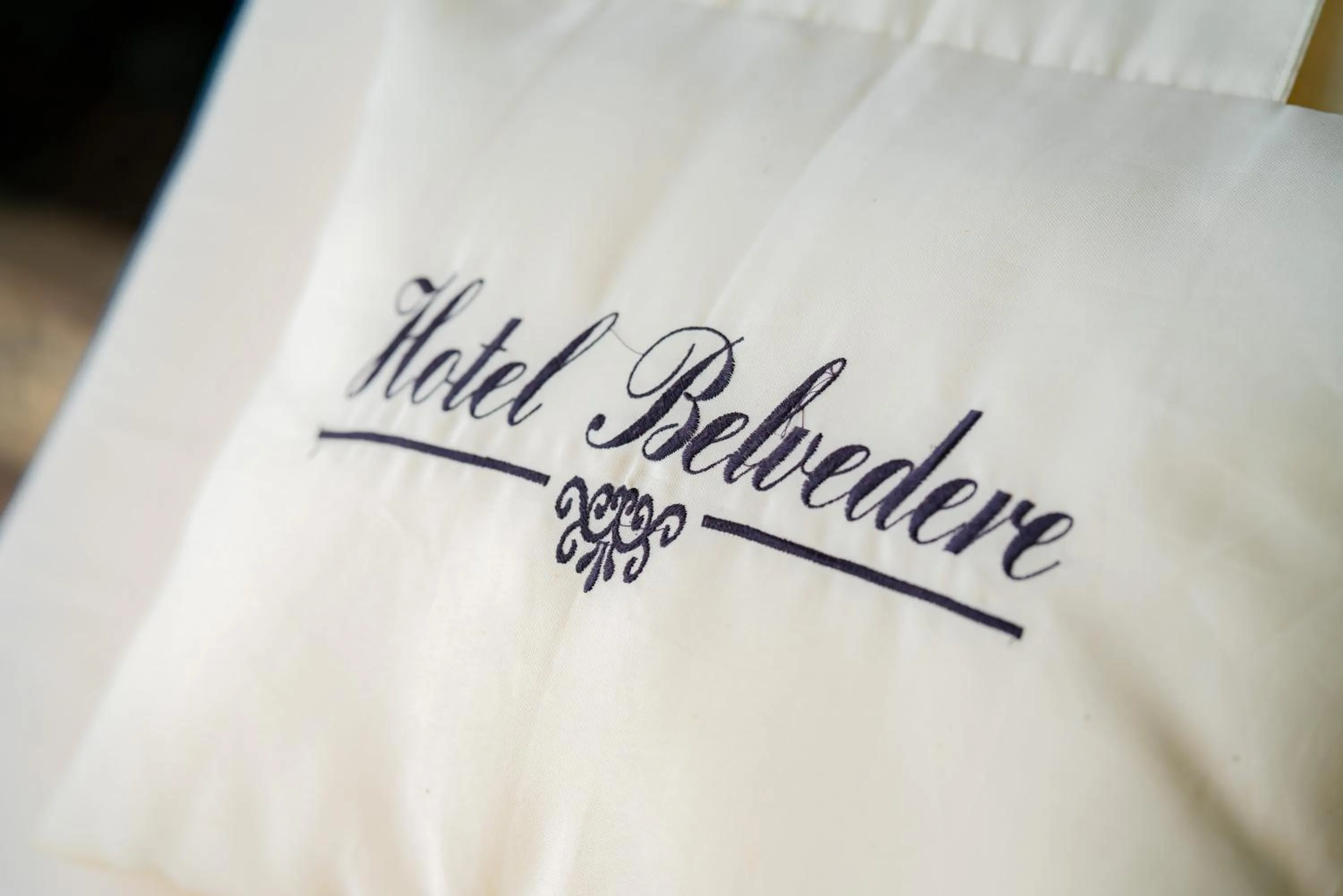 Property logo or sign in Vila Belvedere