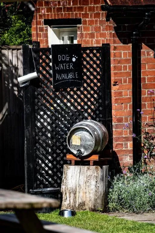 Other in The Stag and Huntsman at Hambleden