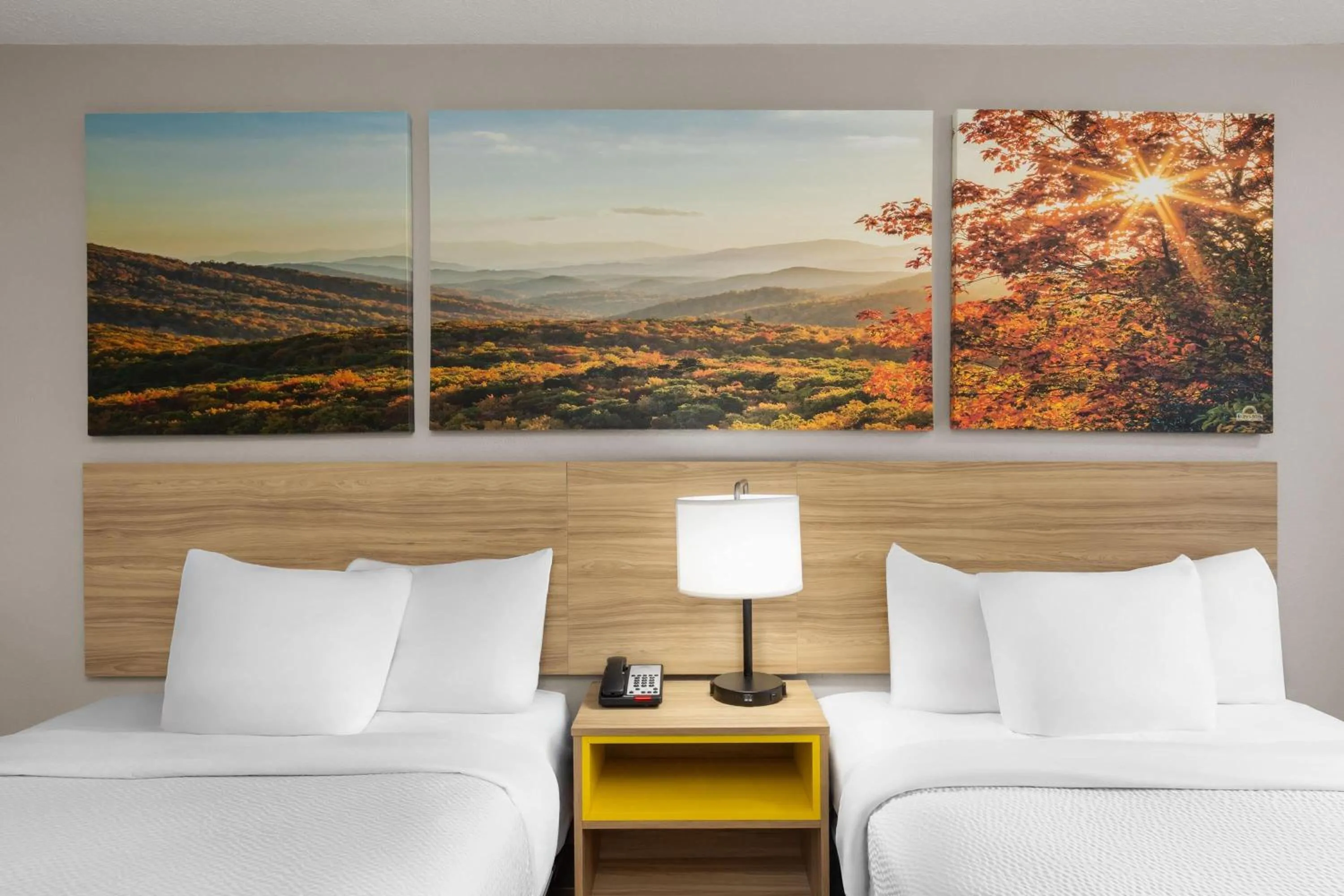 Photo of the whole room, Bed in Days Inn by Wyndham Charleston WV