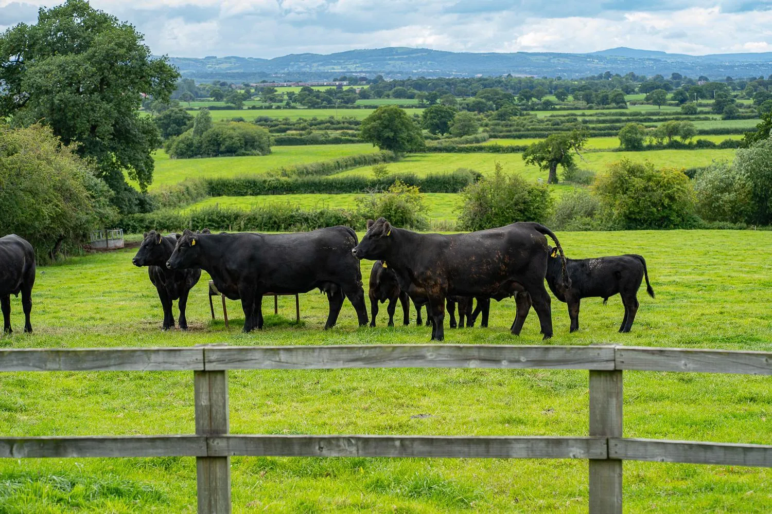 Property building in Higher Farm