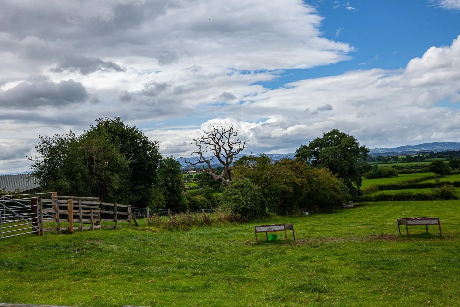 Property building in Higher Farm