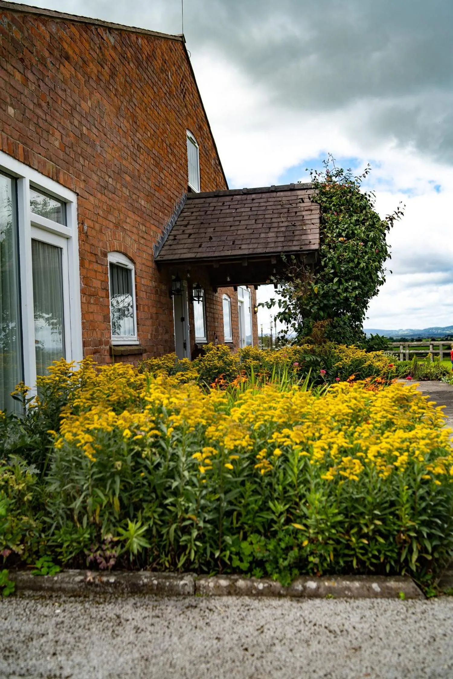 Property building in Higher Farm