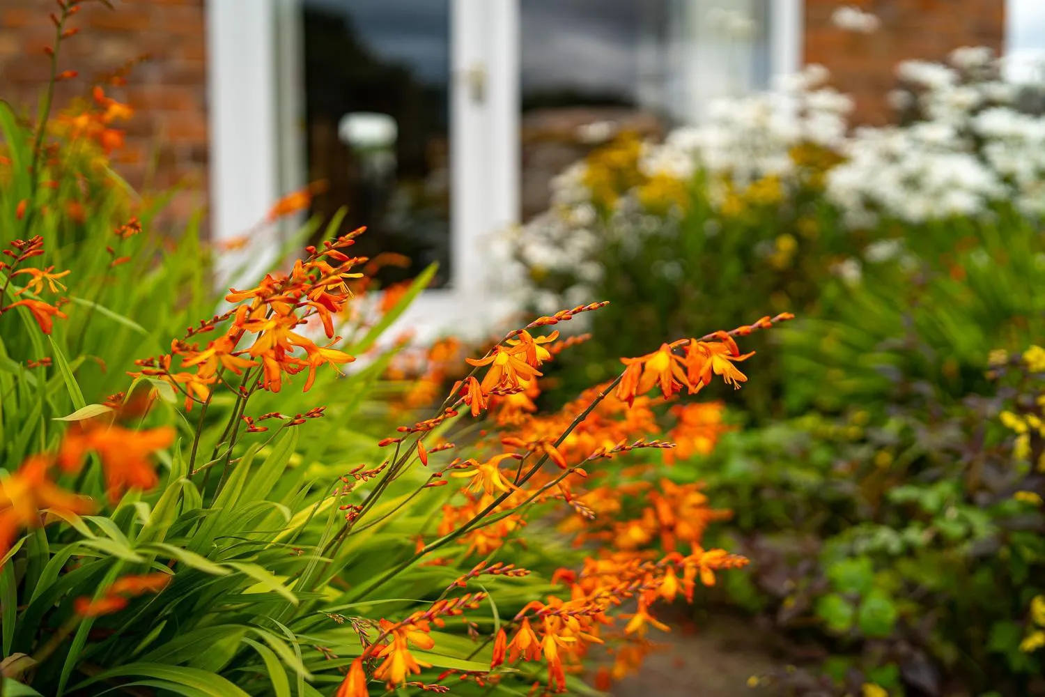 Property building in Higher Farm