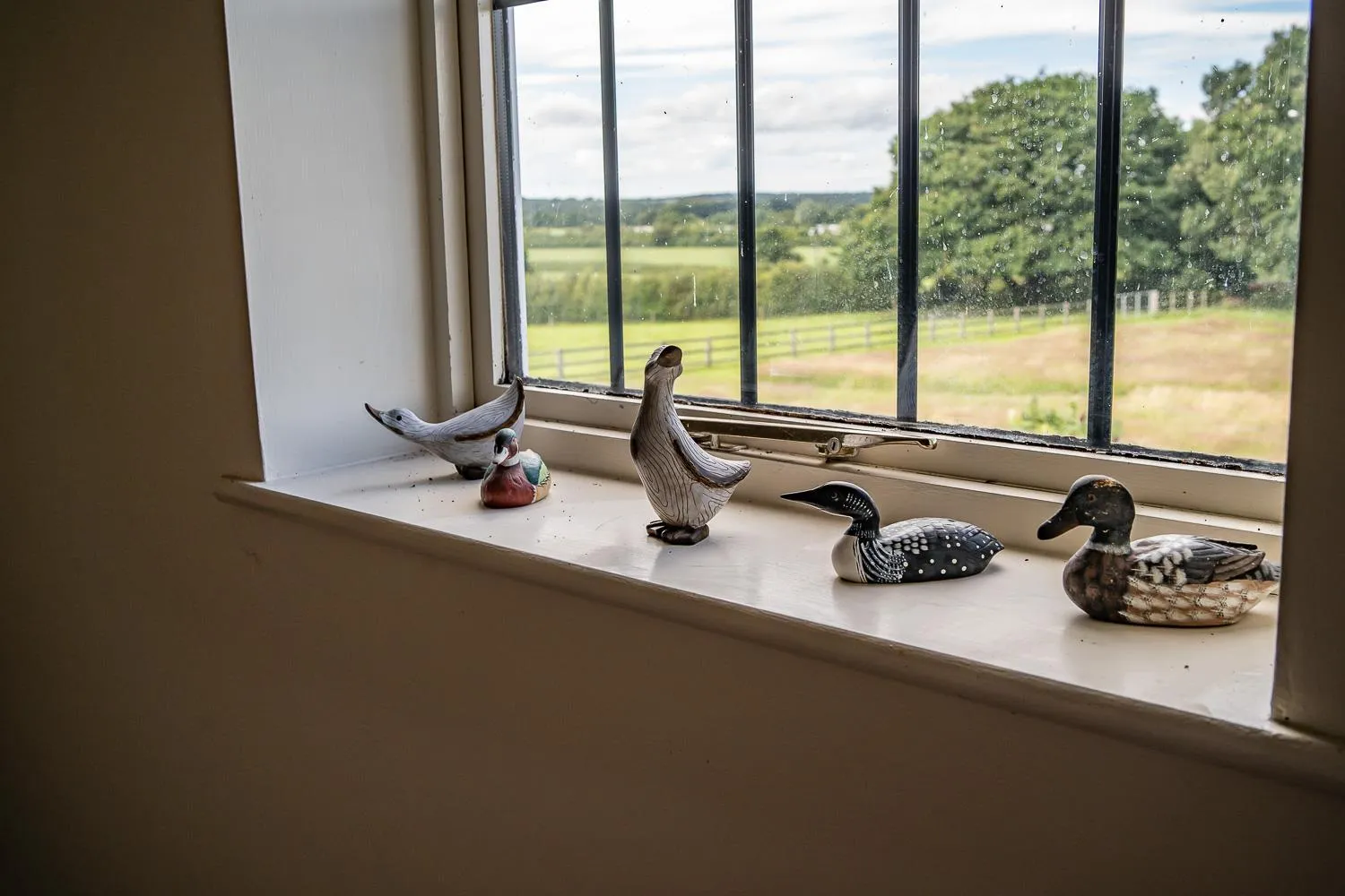 Other in Higher Farm