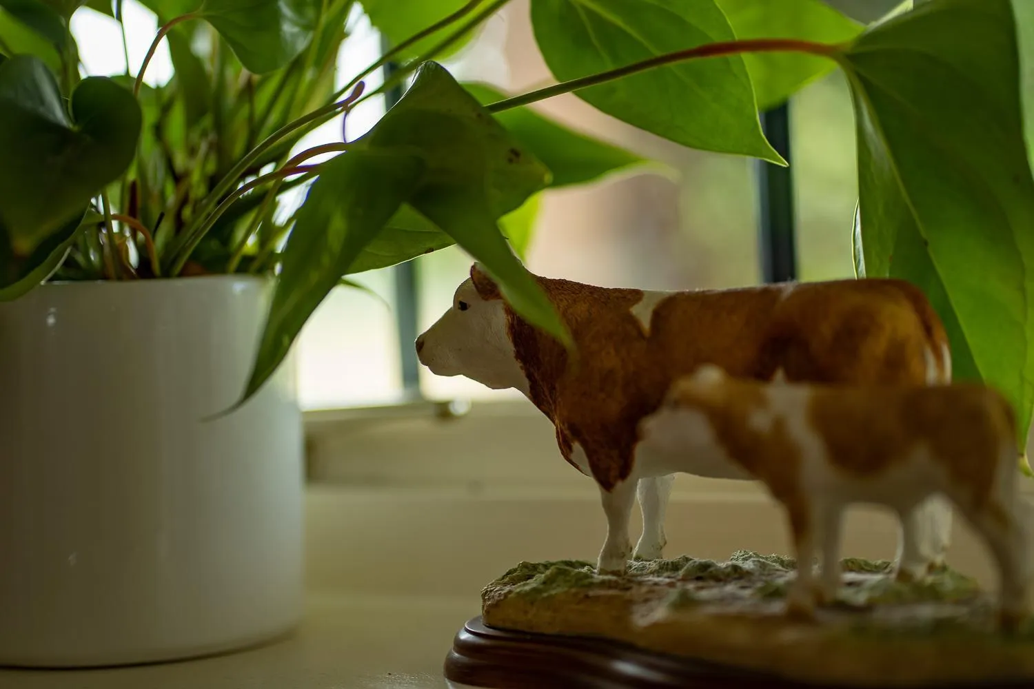 Other in Higher Farm