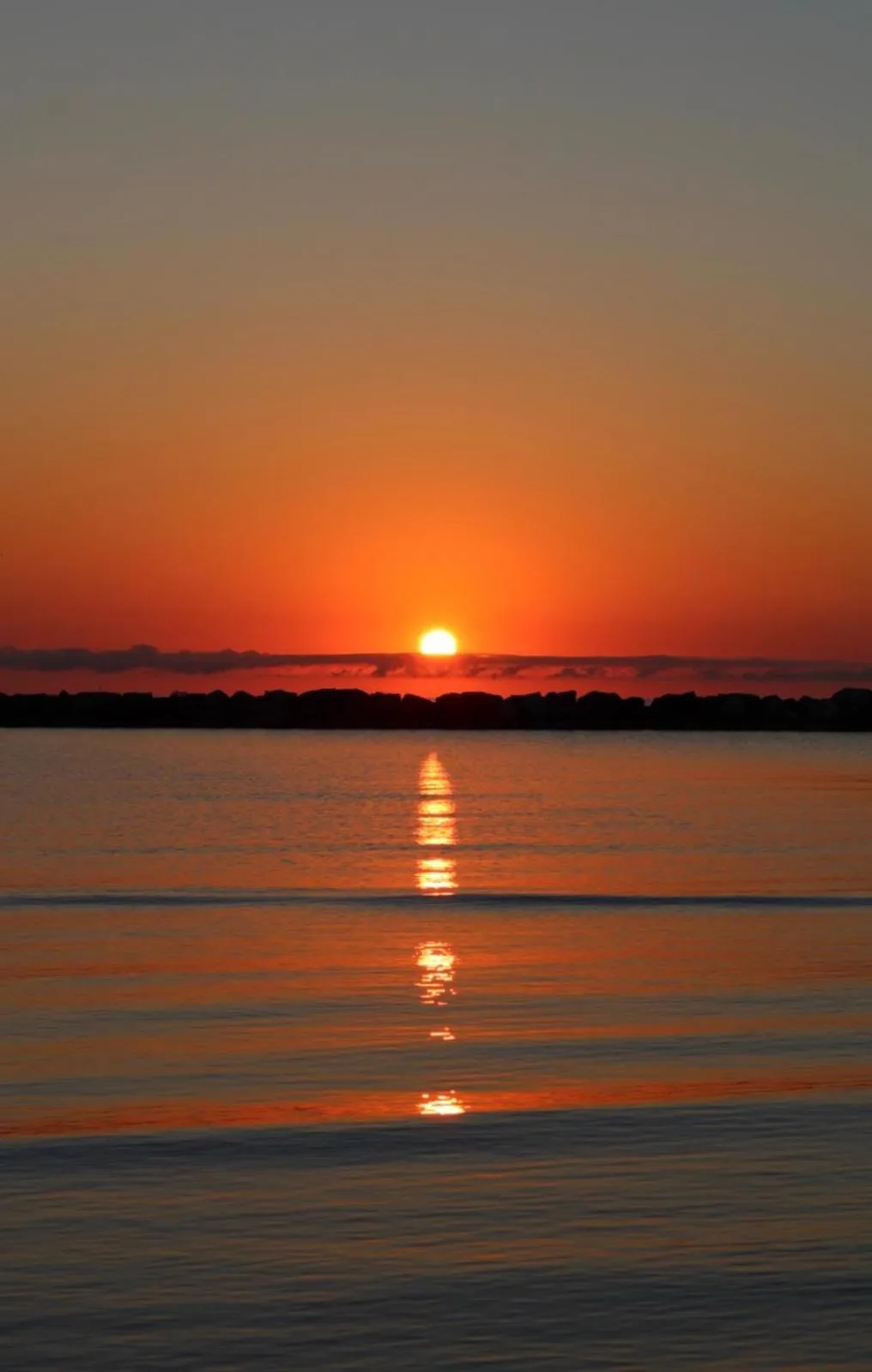 Natural landscape in Hotel Gorini