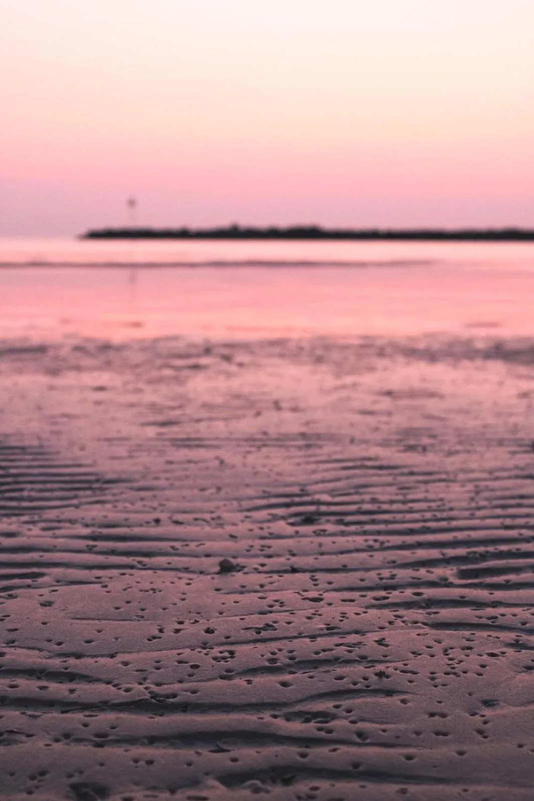 Natural landscape in Hotel Gorini