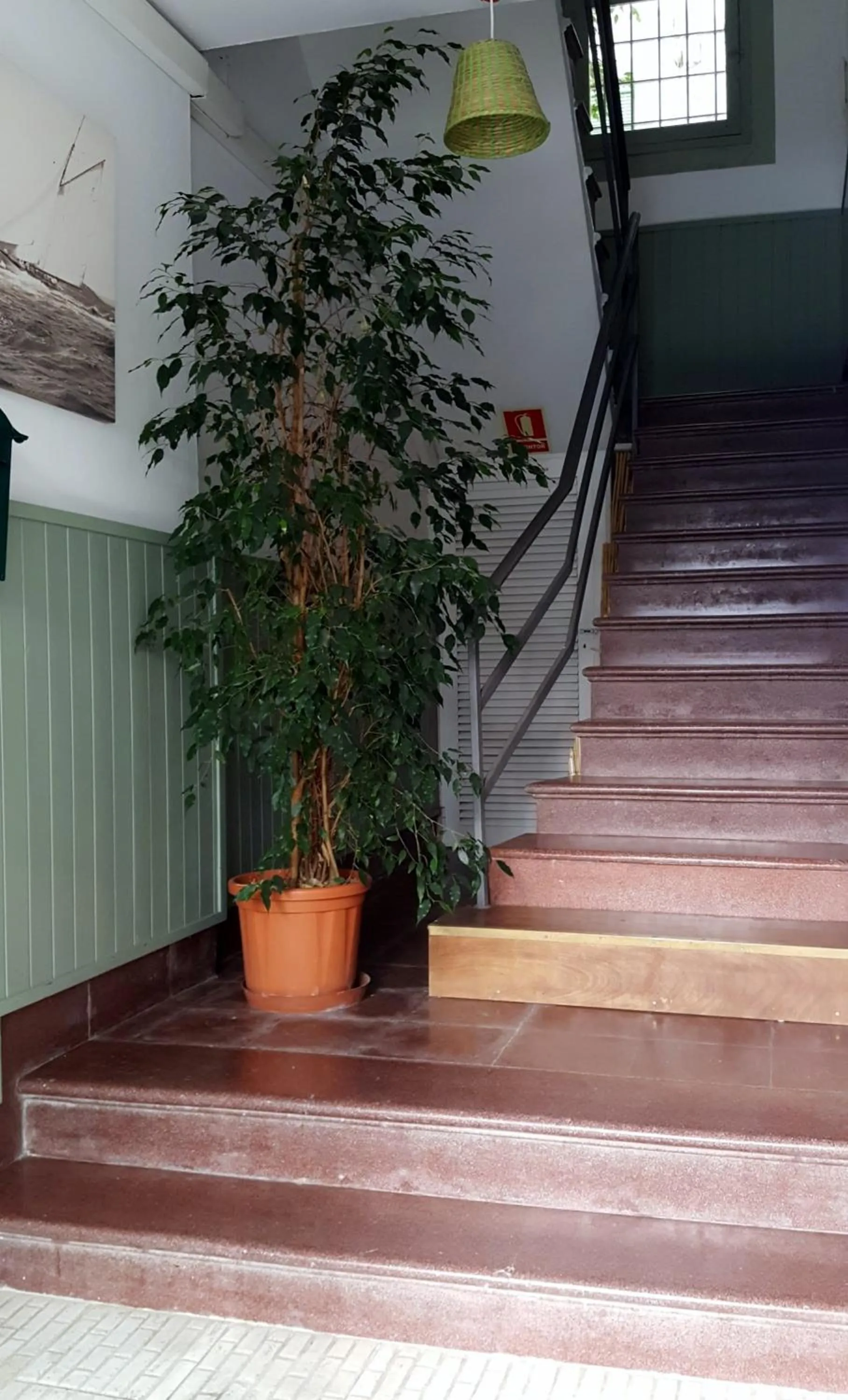 Facade/entrance in Juanita Hostal