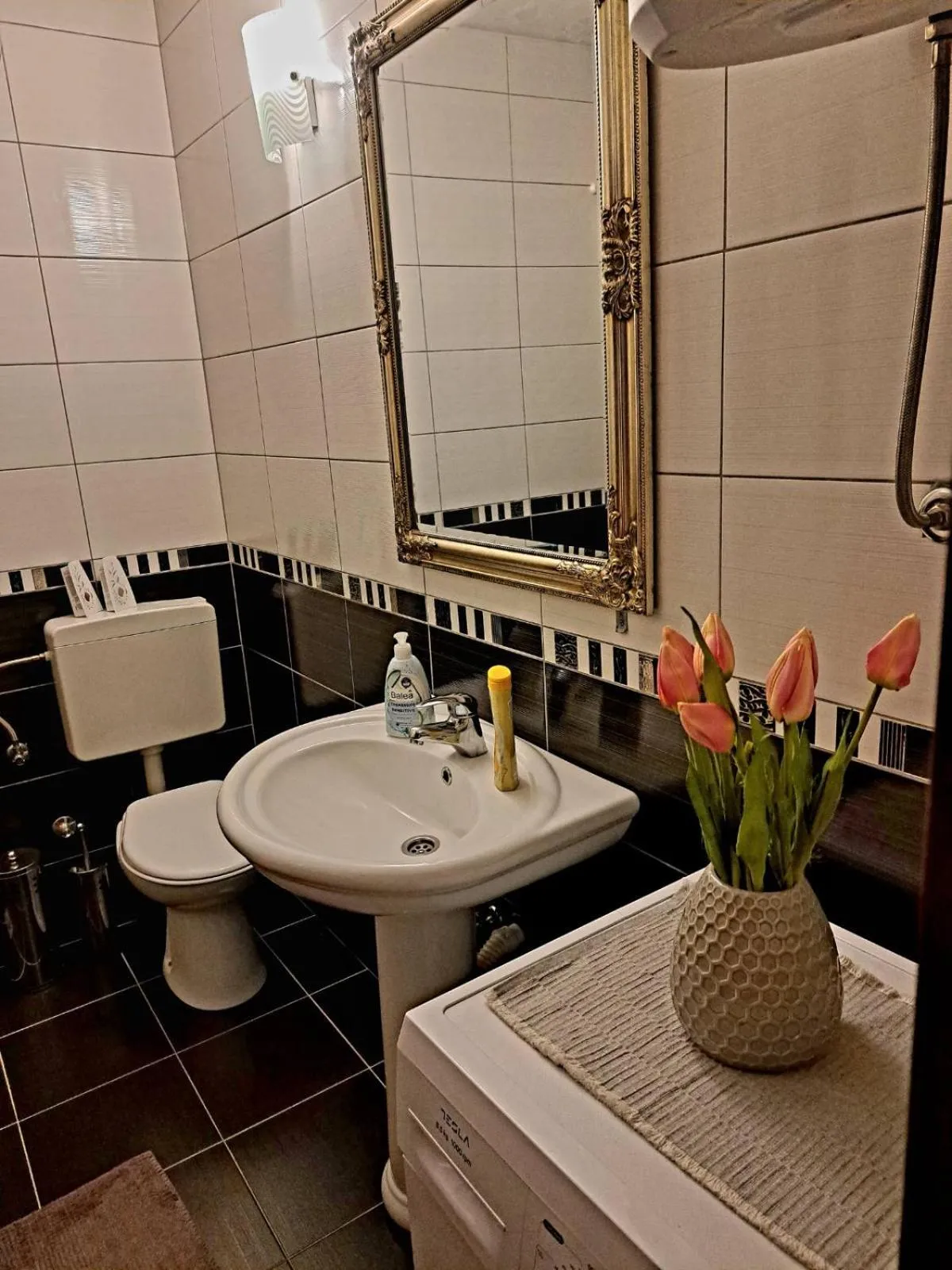 Apartments Thea