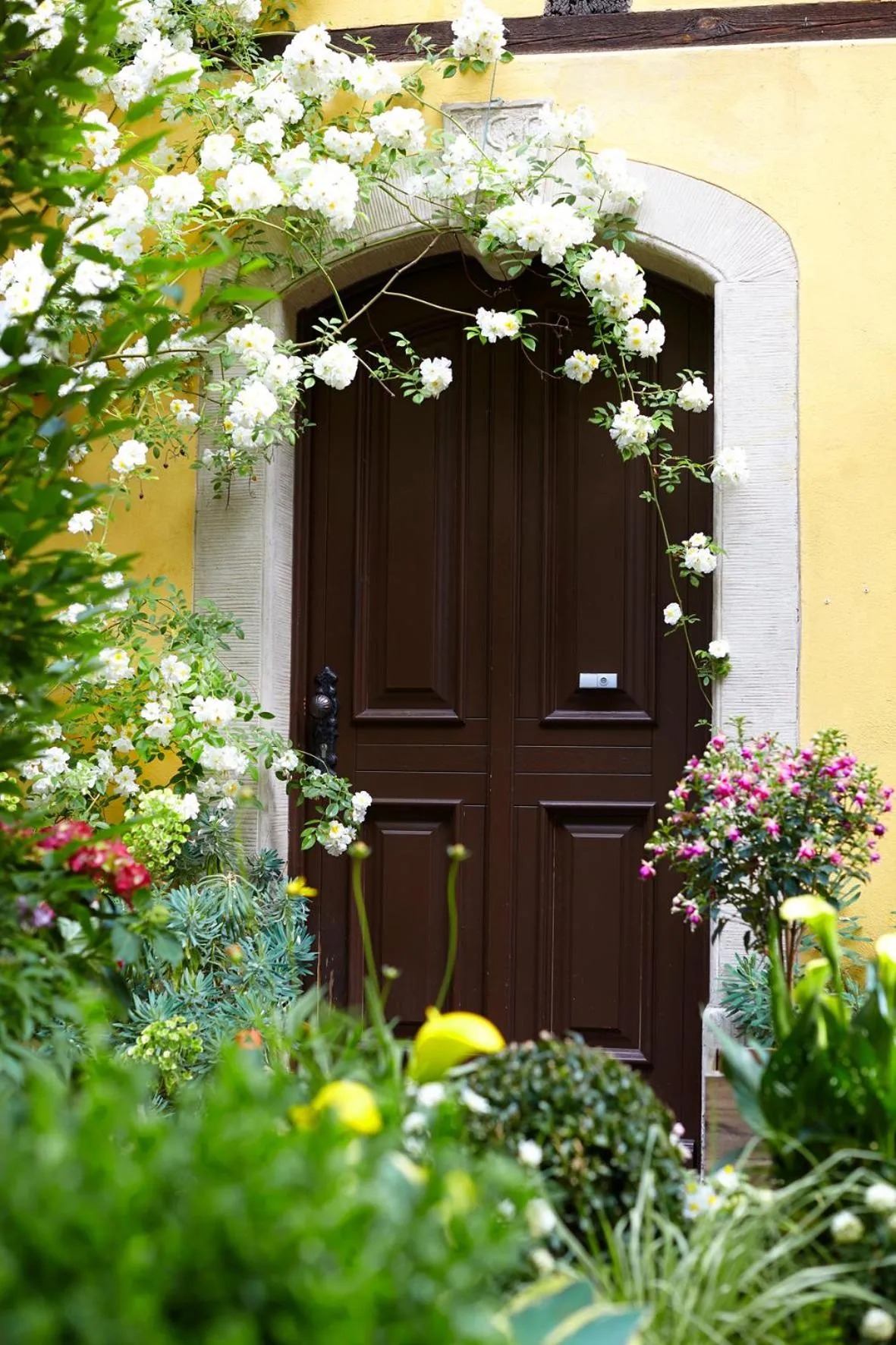 Patio in Fährhaus Meißen B&B