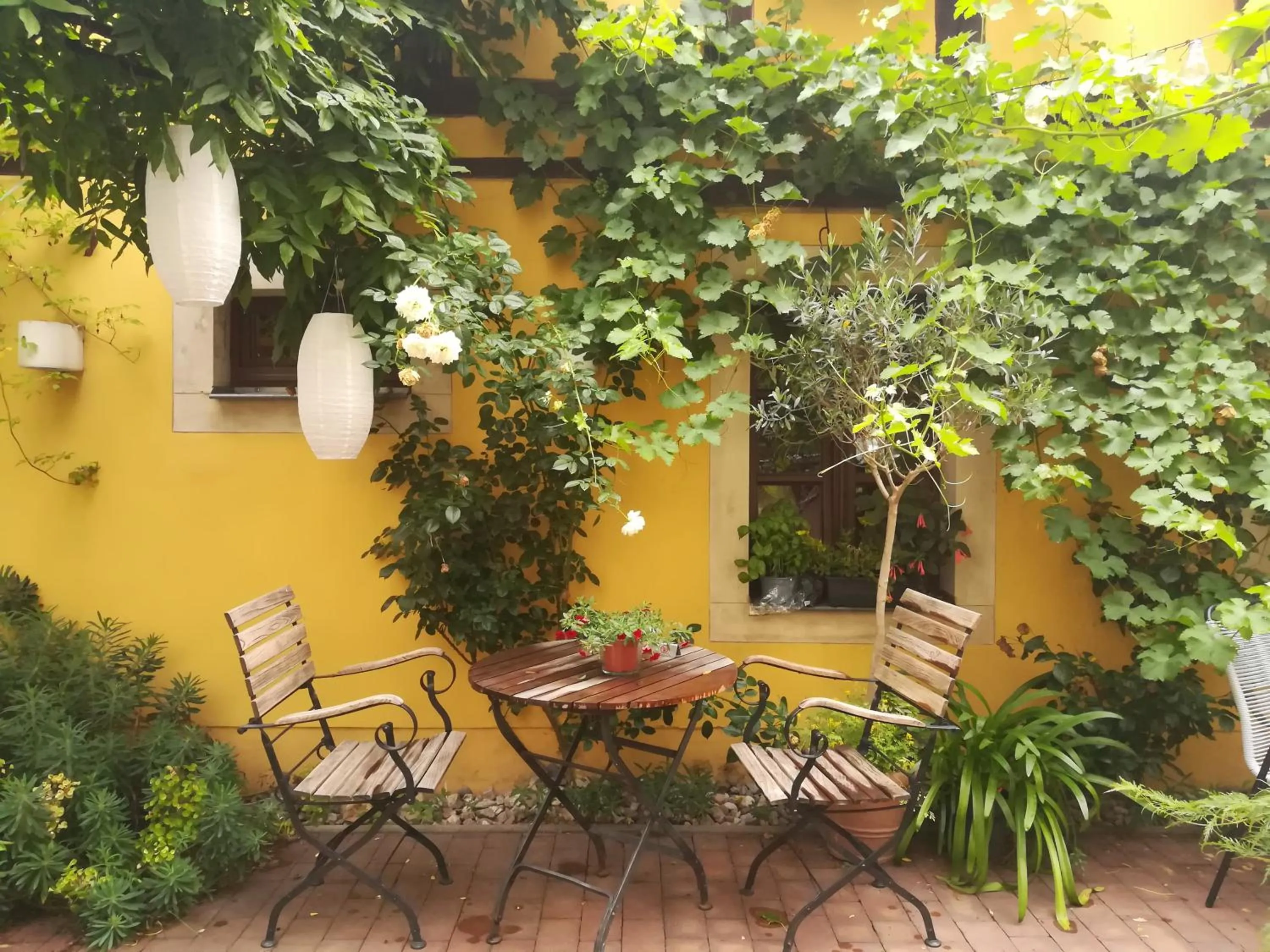 Garden in Fährhaus Meißen B&B