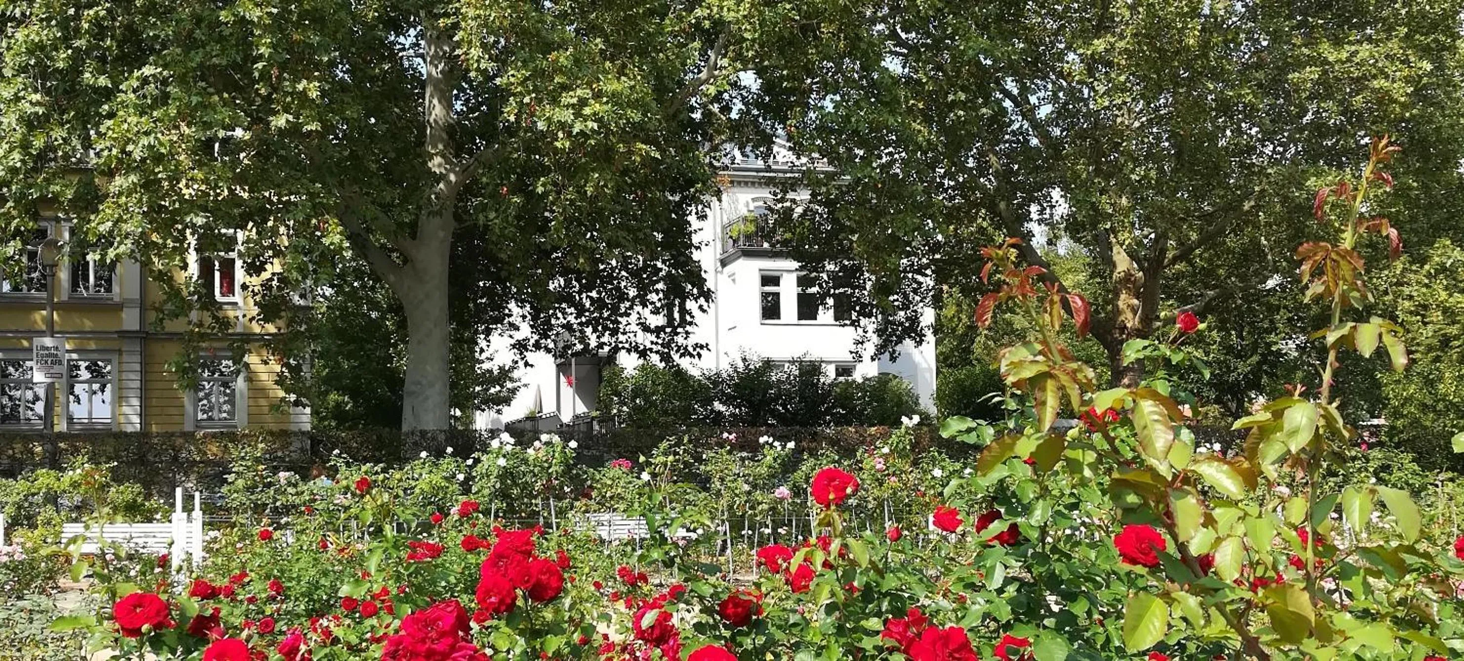 Fährhaus Meißen B&B