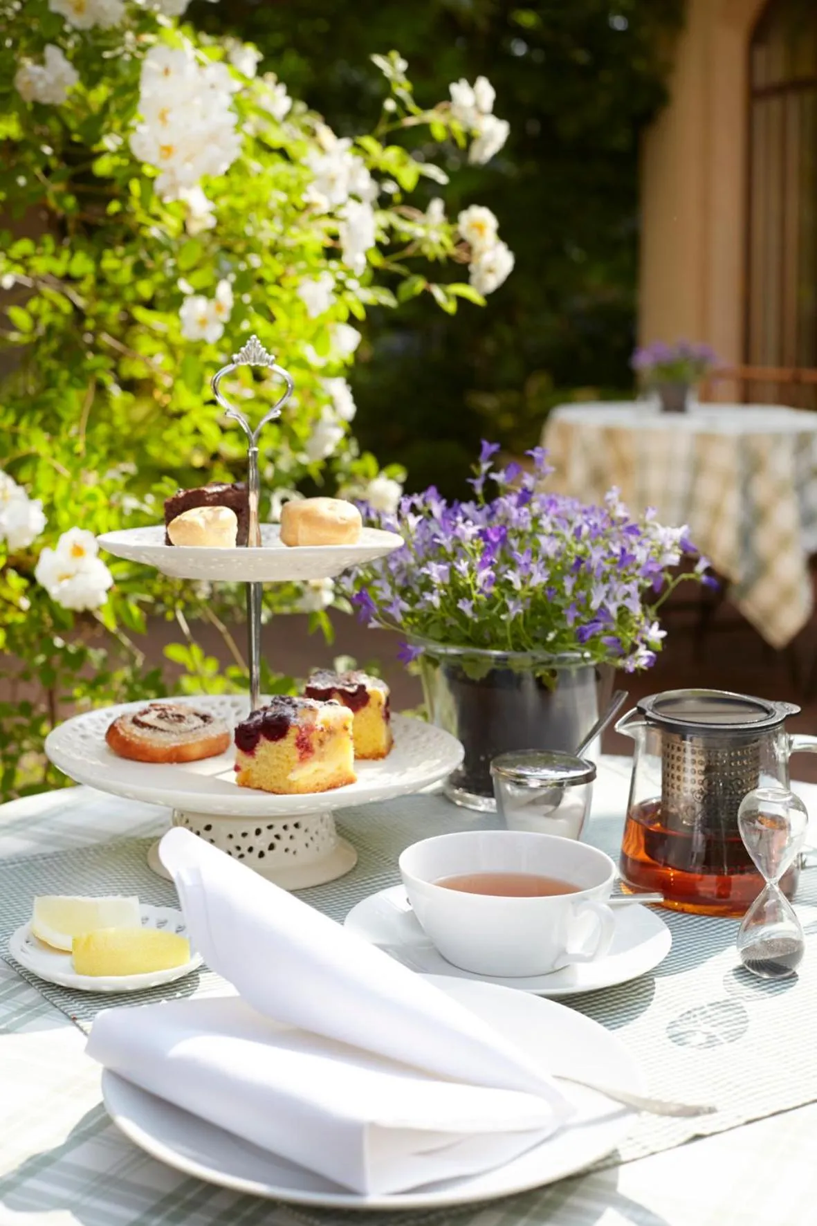 Patio in Fährhaus Meißen B&B