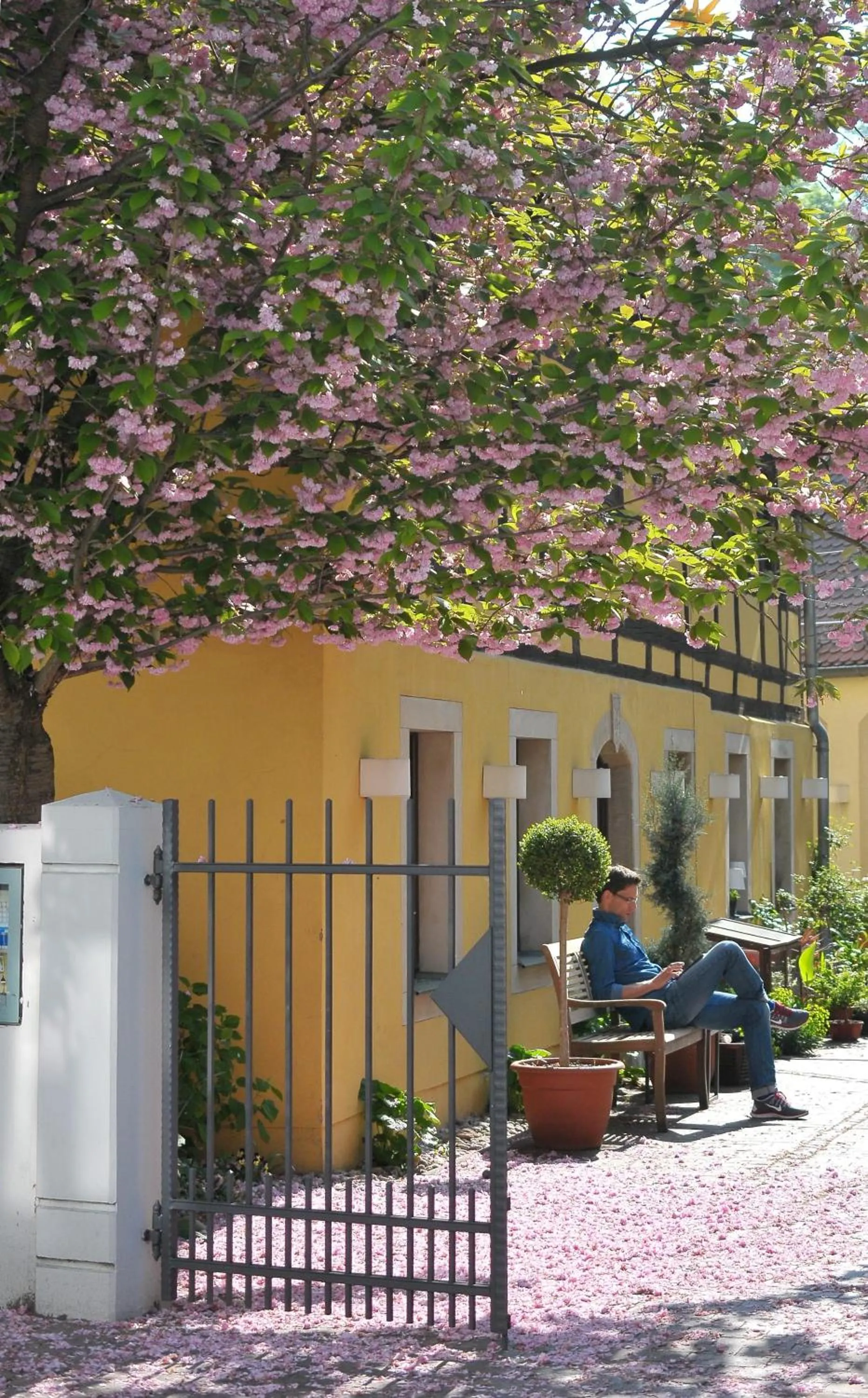 Patio in Fährhaus Meißen B&B