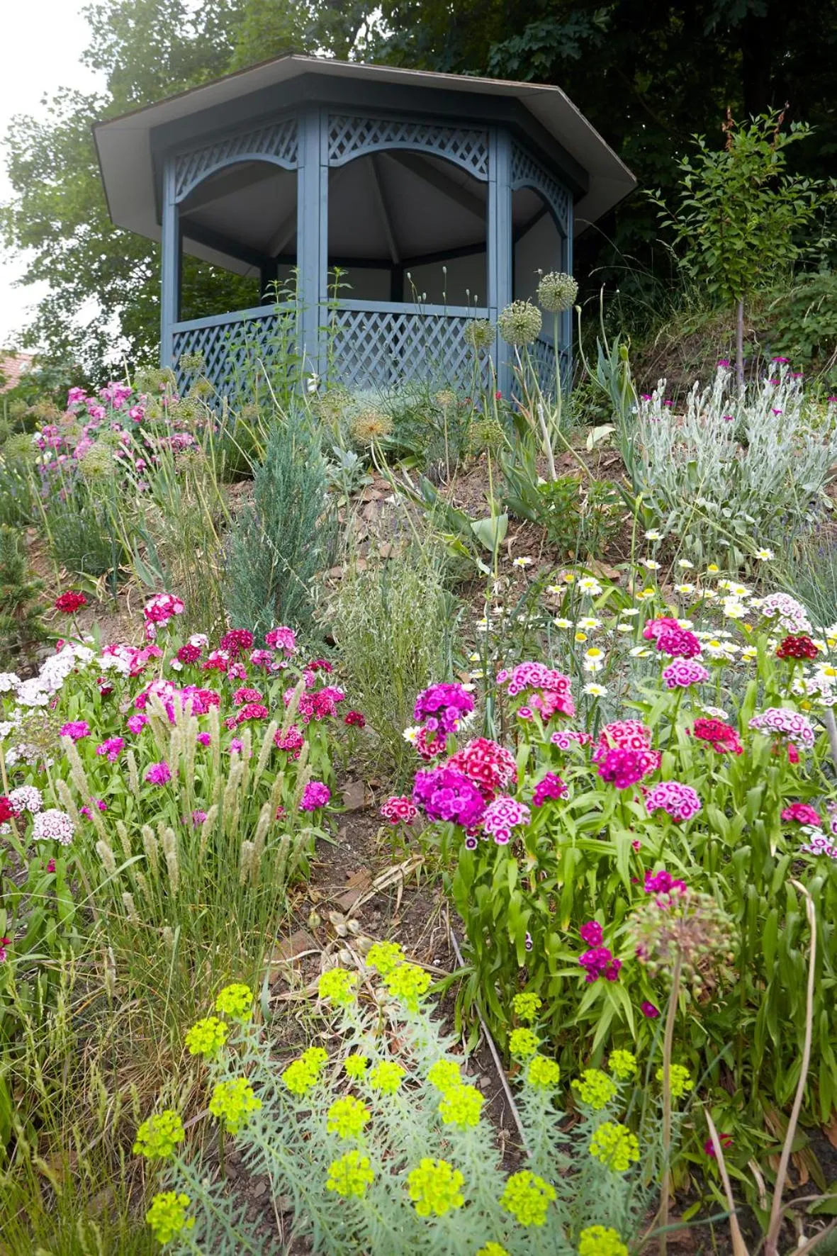 Garden in Fährhaus Meißen B&B