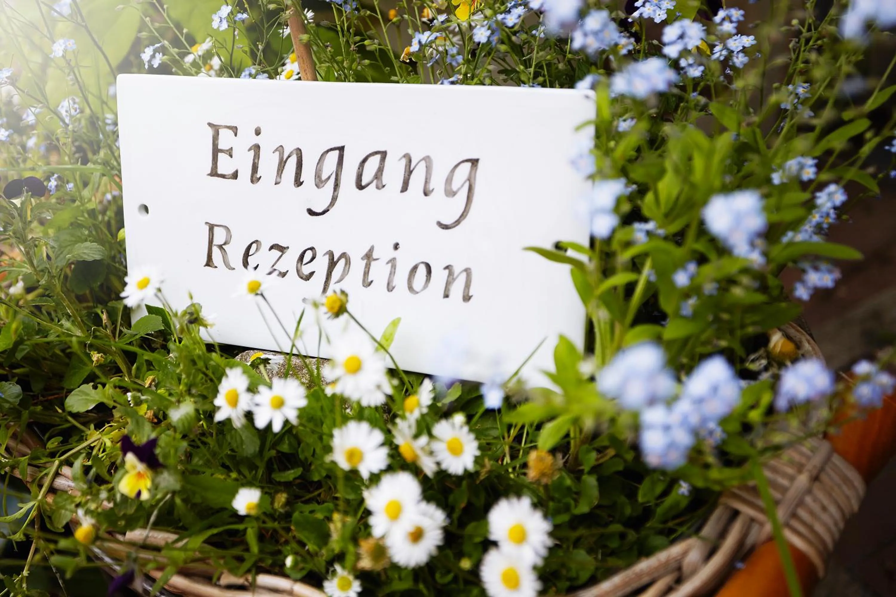 Facade/entrance in Fährhaus Meißen B&B