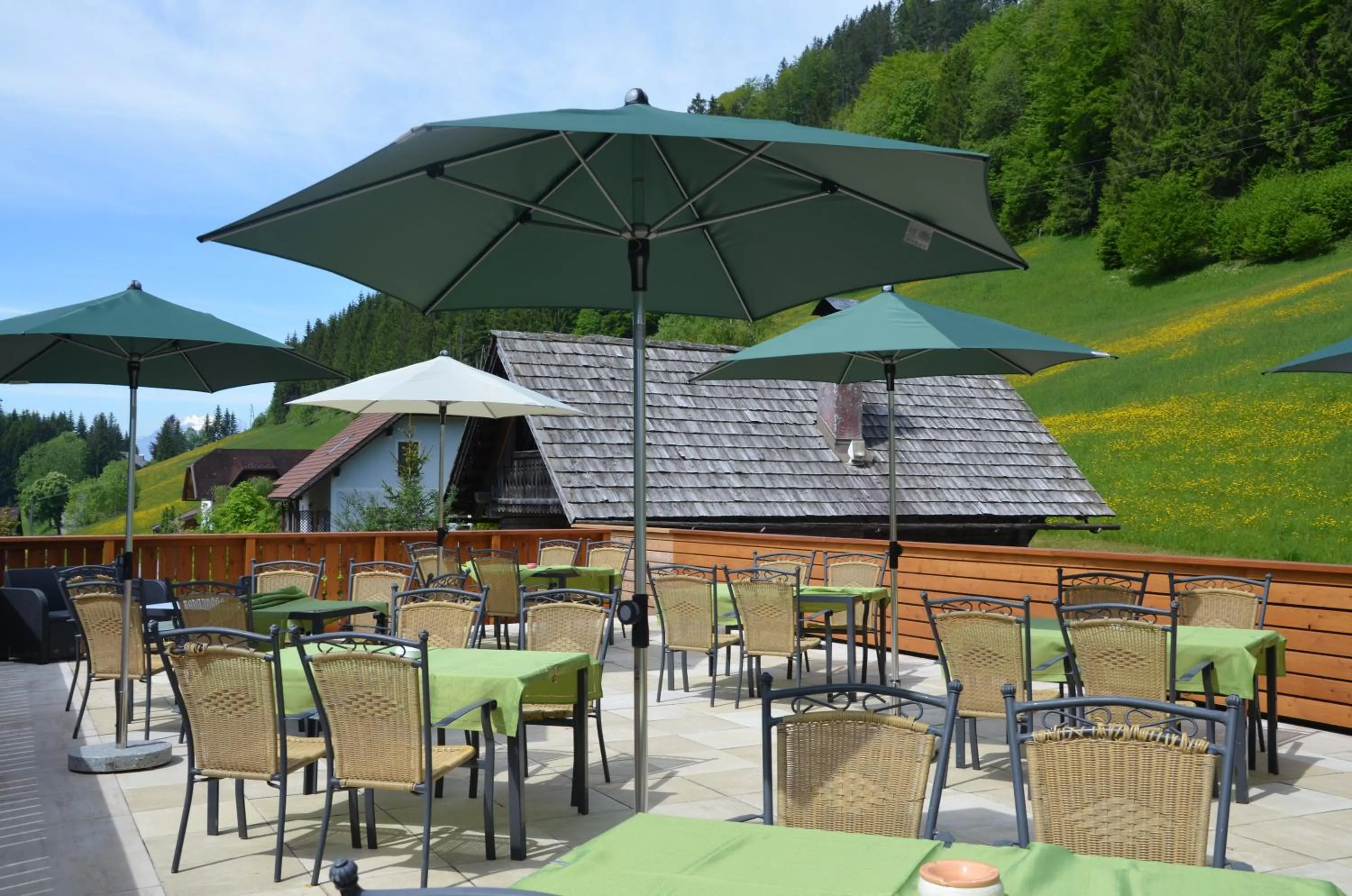 Balcony/Terrace in Alpenhotel Ensmann