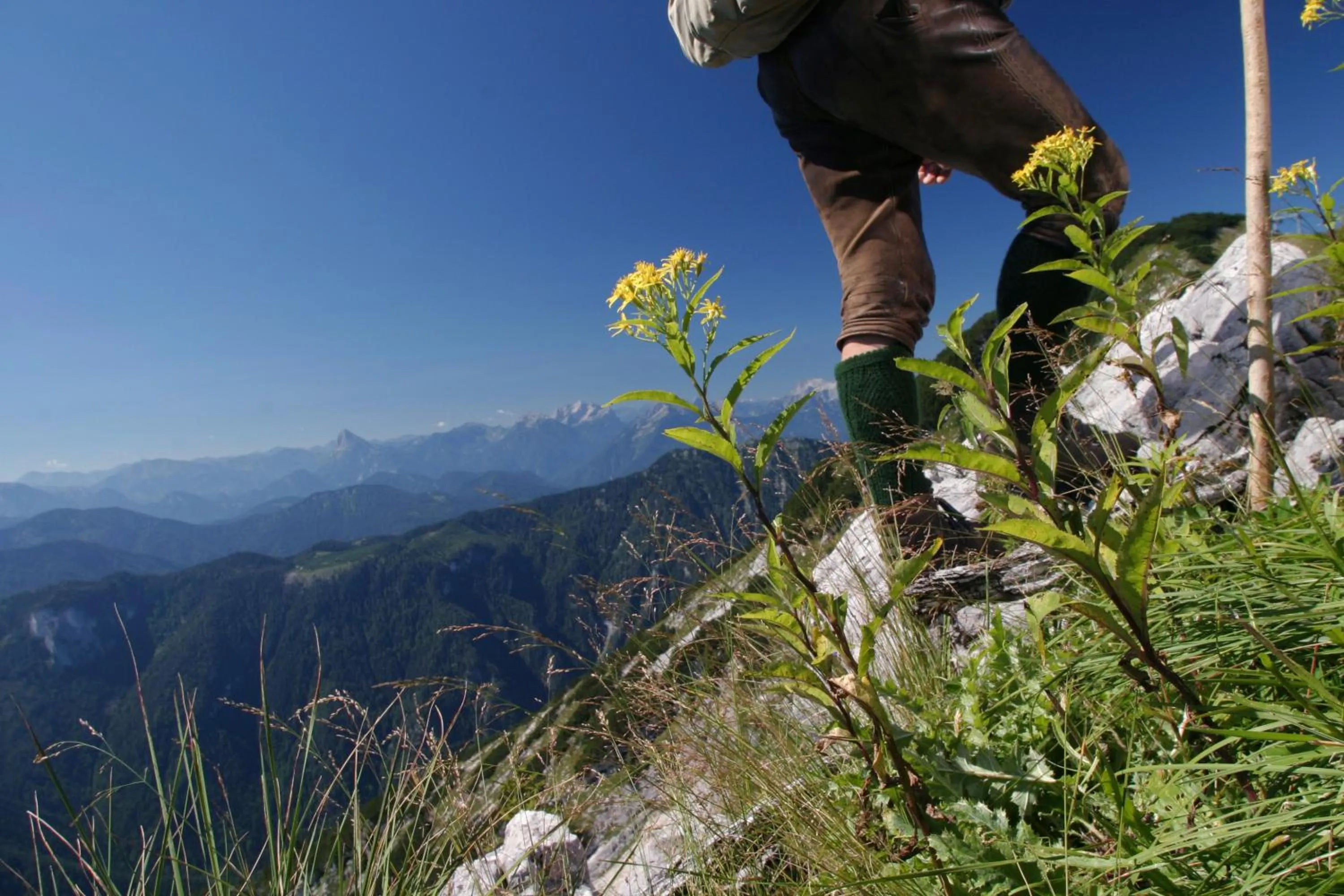 People in Alpenhotel Ensmann