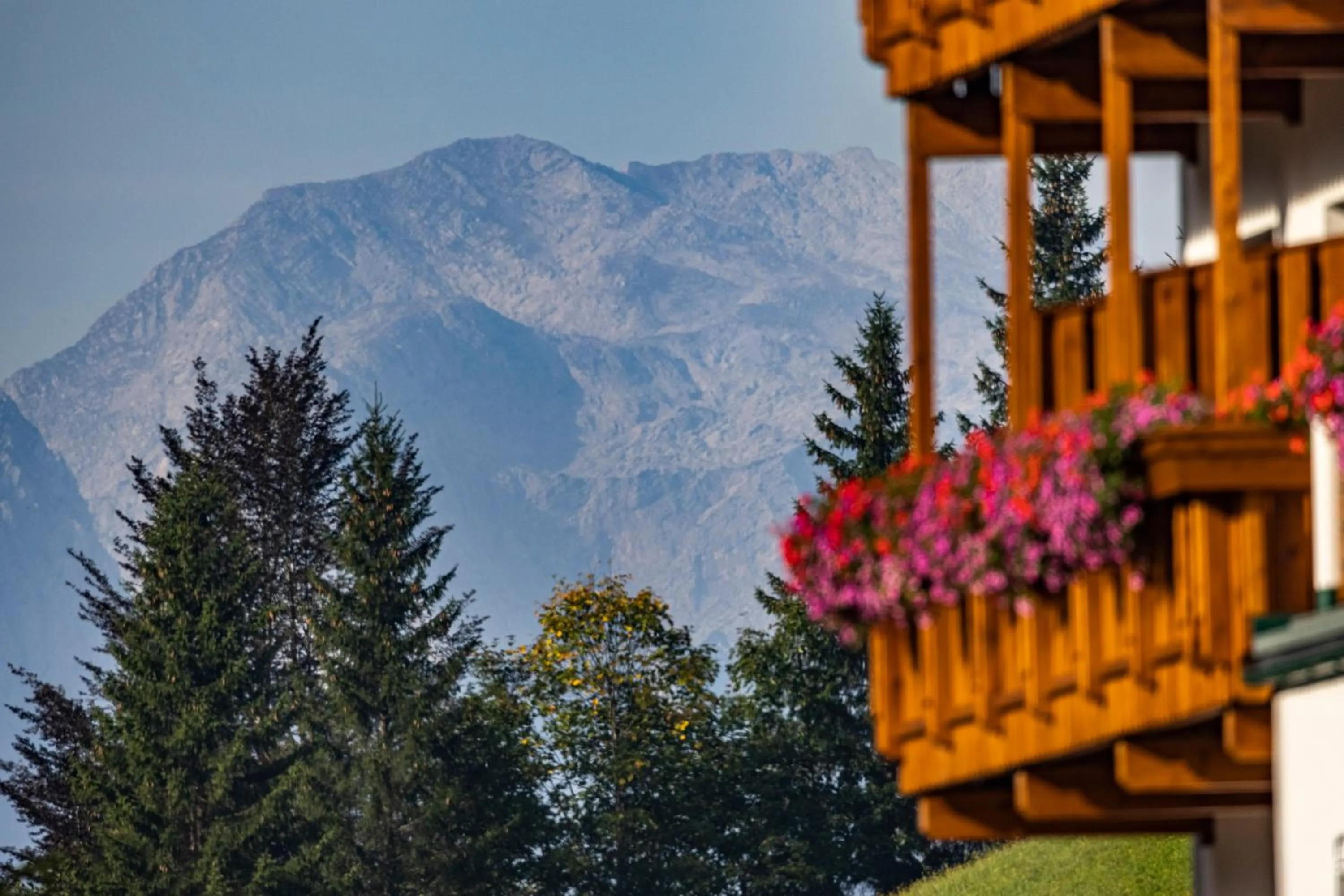 View (from property/room) in Alpenhotel Ensmann