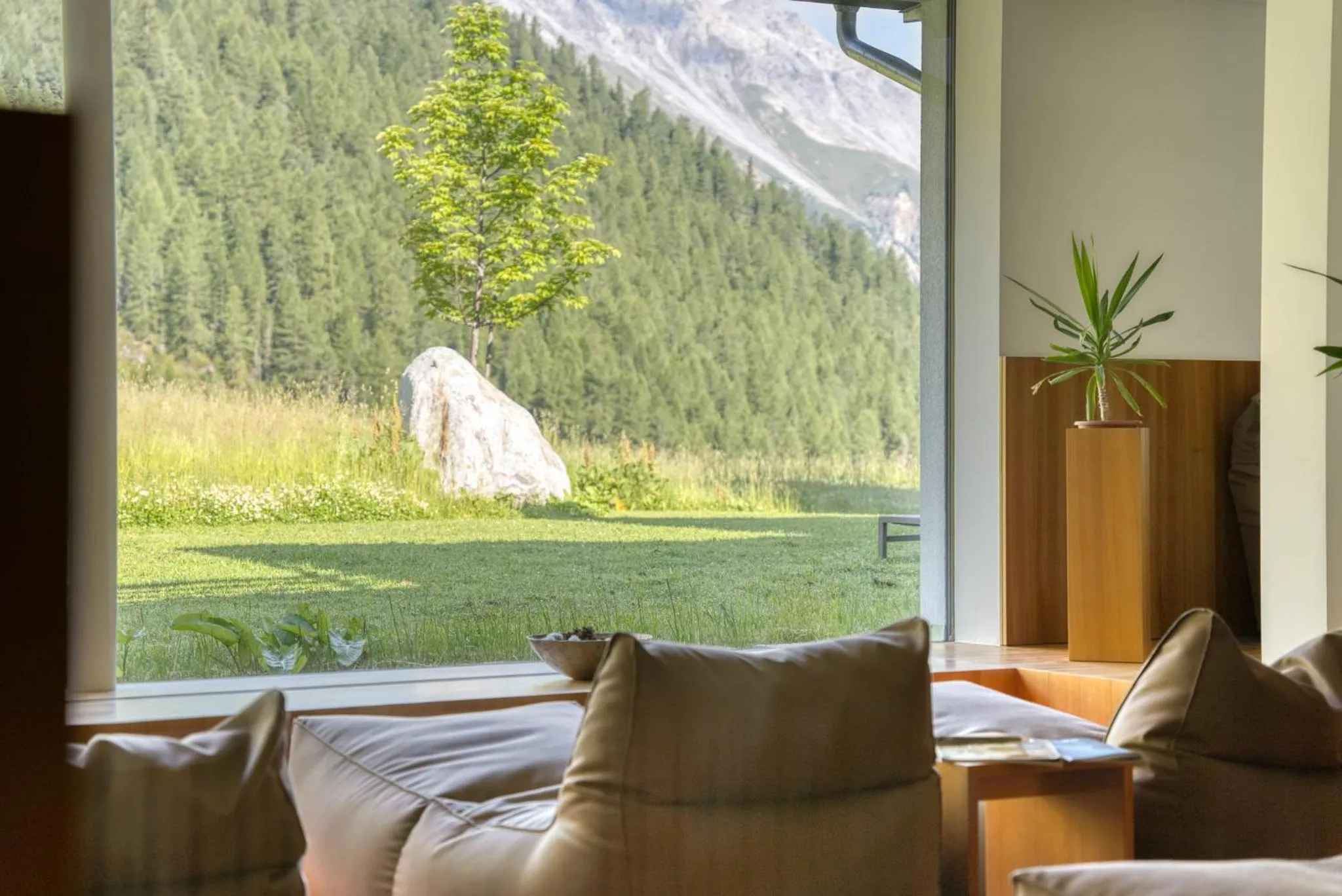 Spa and wellness centre/facilities in Hotel Cevedale