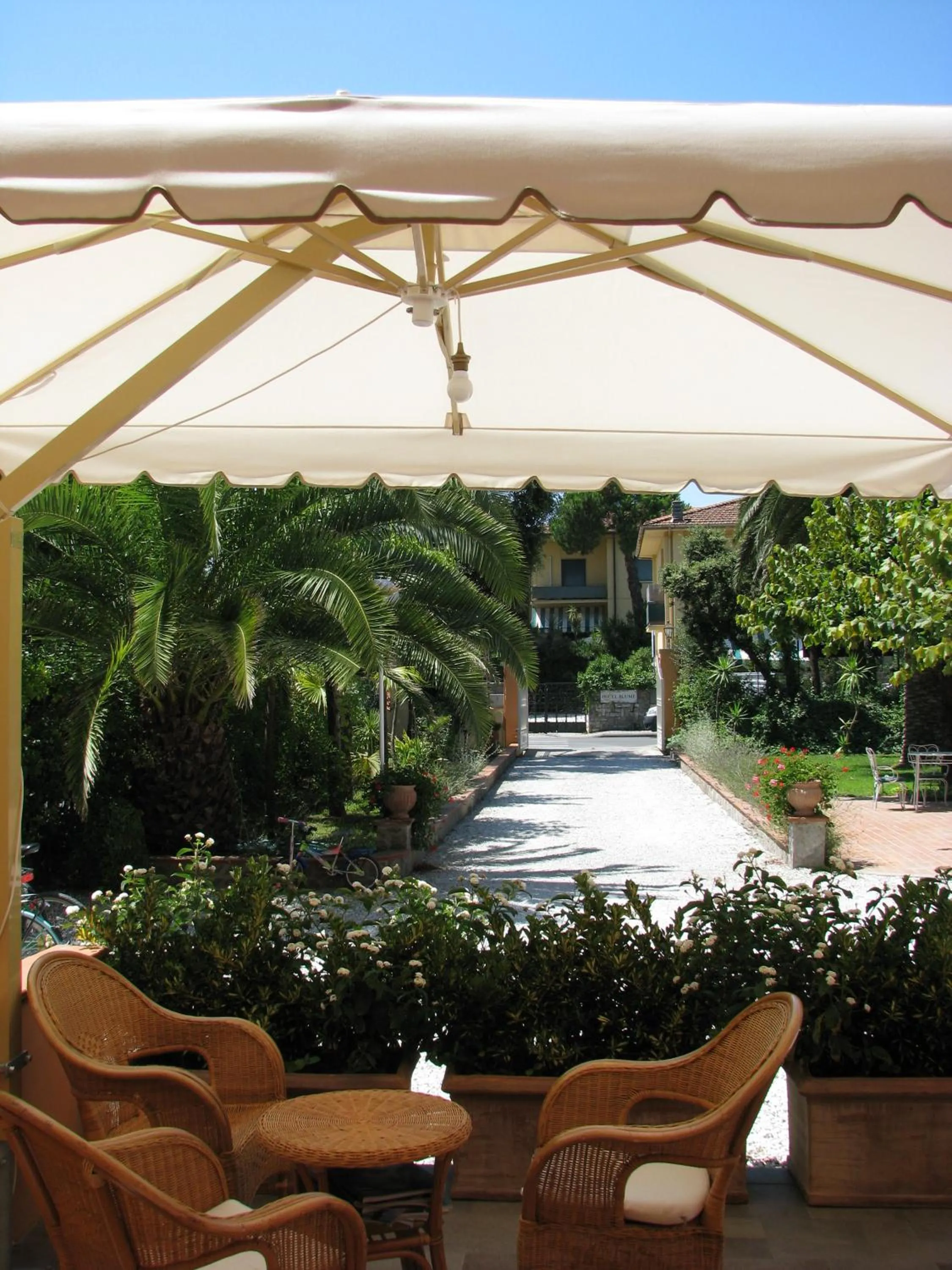 Garden in Hotel Bellonda