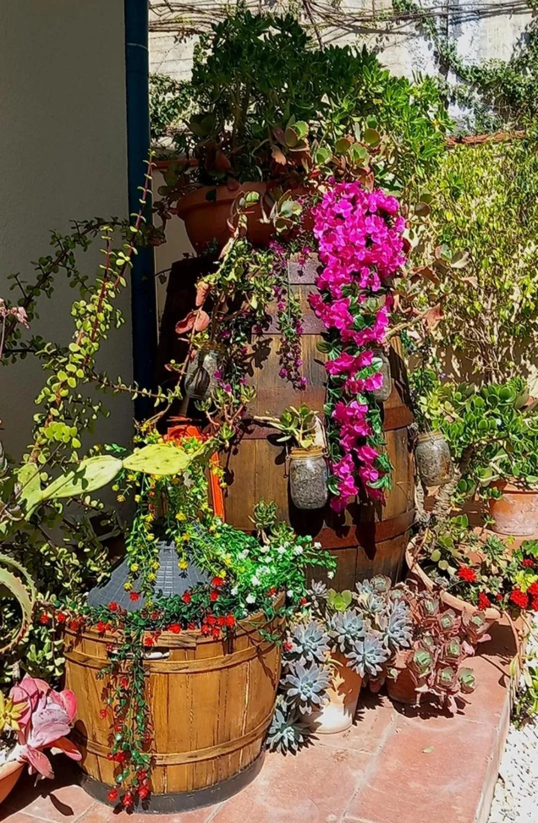 Garden view in Bed and Breakfast Rosangela