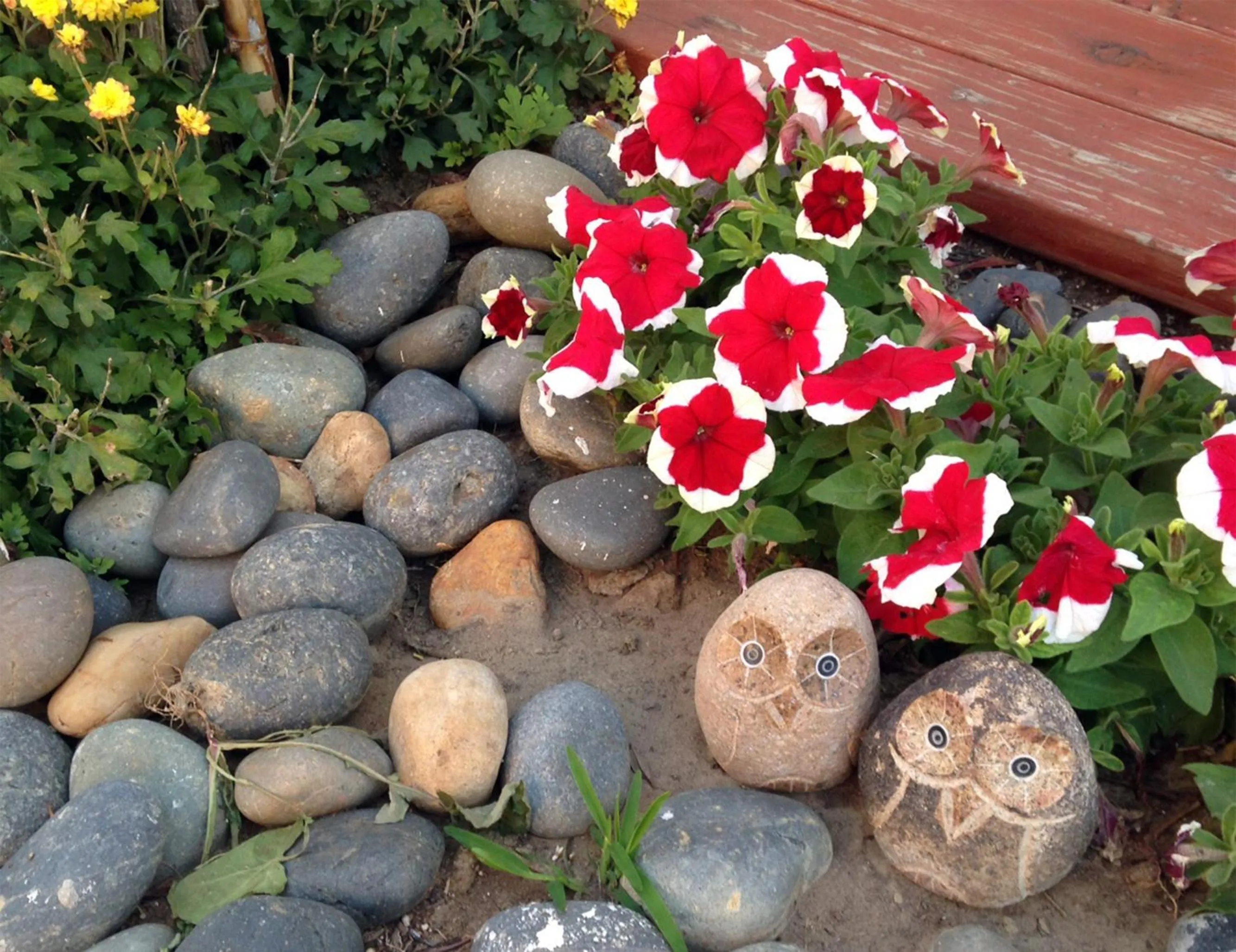 Garden in Dali Suites -Accommodations in Playas de Tijuana