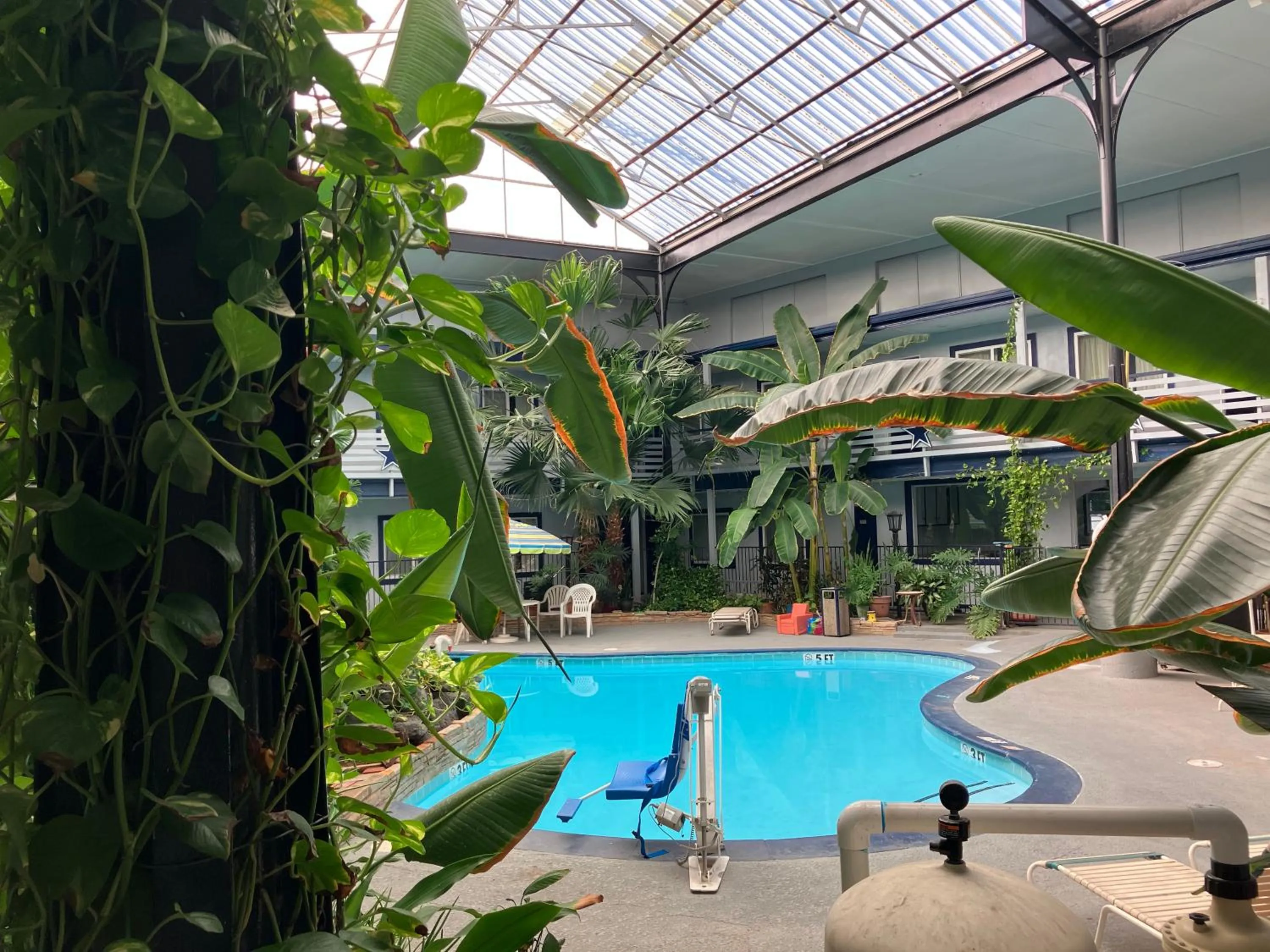 Garden view in Budget Host Inn