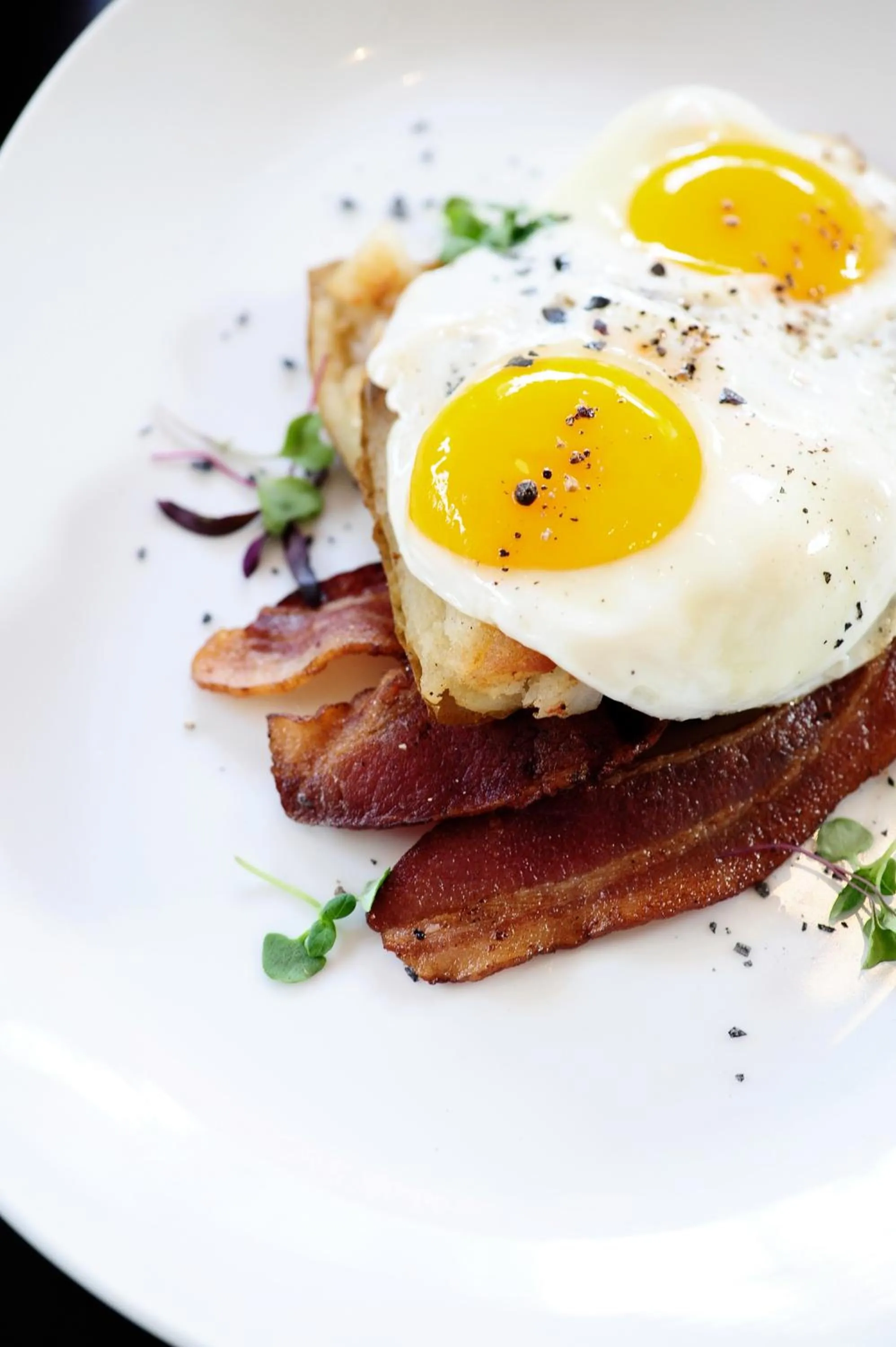 Restaurant/places to eat in DoubleTree by Hilton Newark Penn Station, NJ