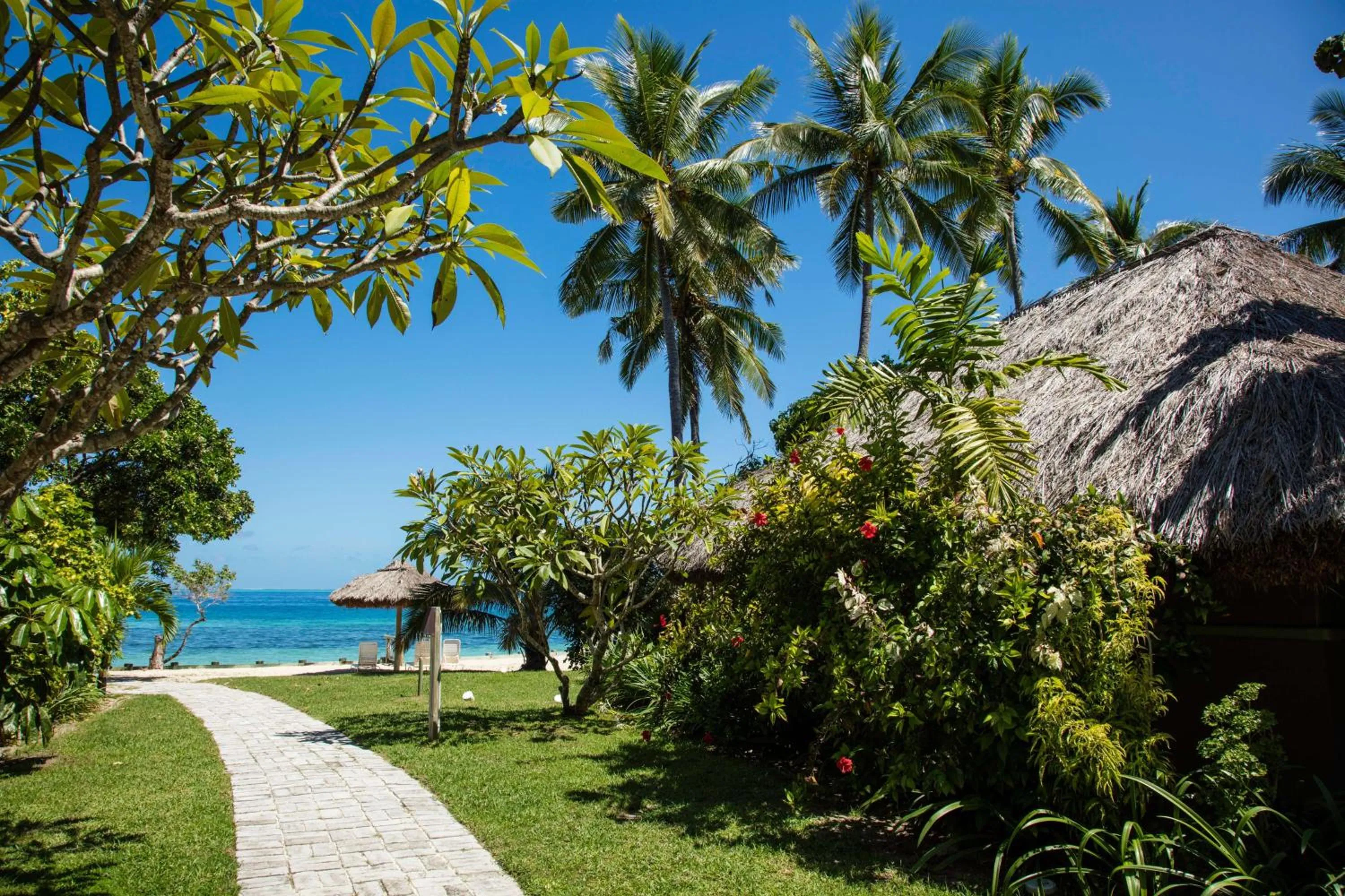 Bedroom in Castaway Island, Fiji