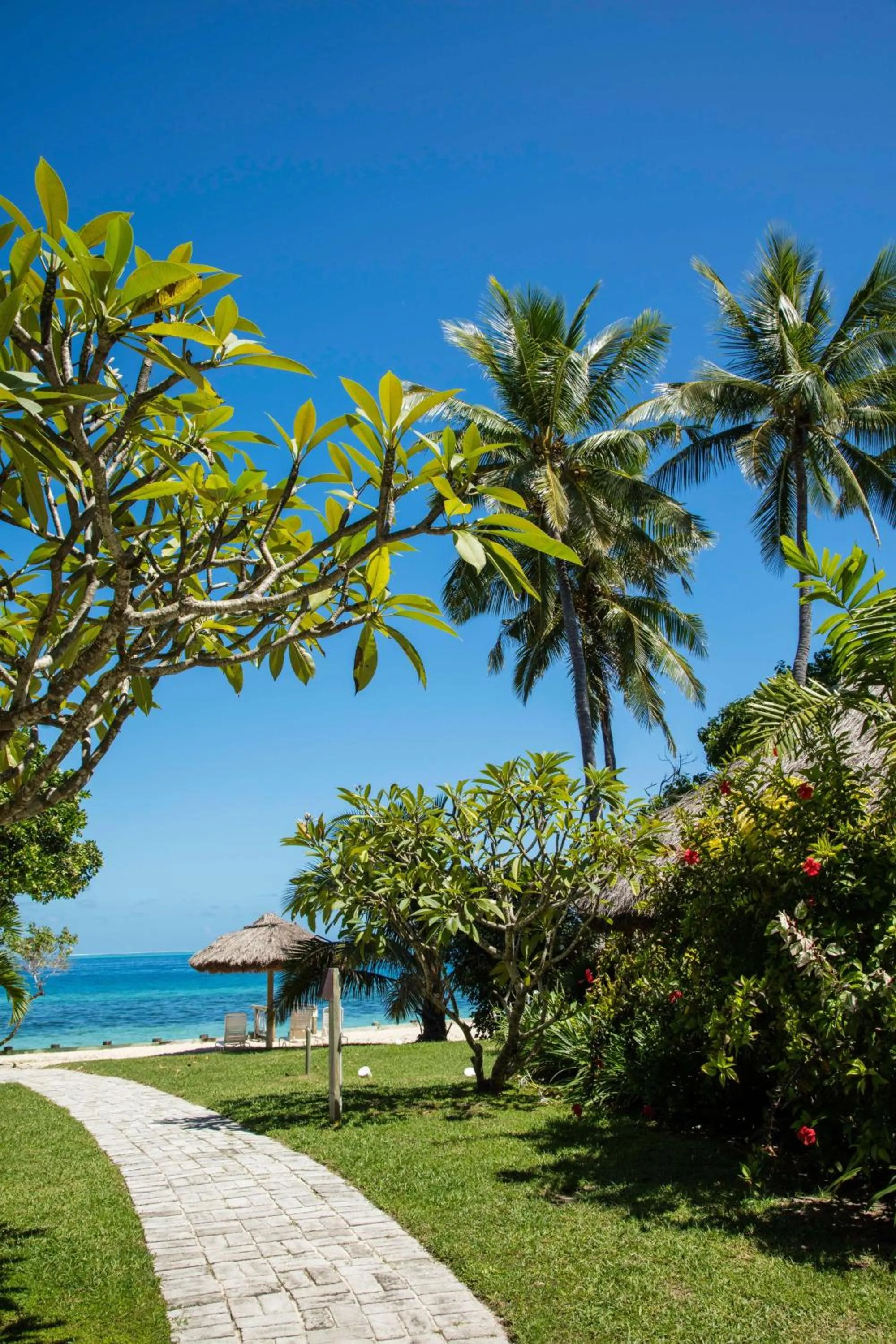 Bedroom in Castaway Island, Fiji