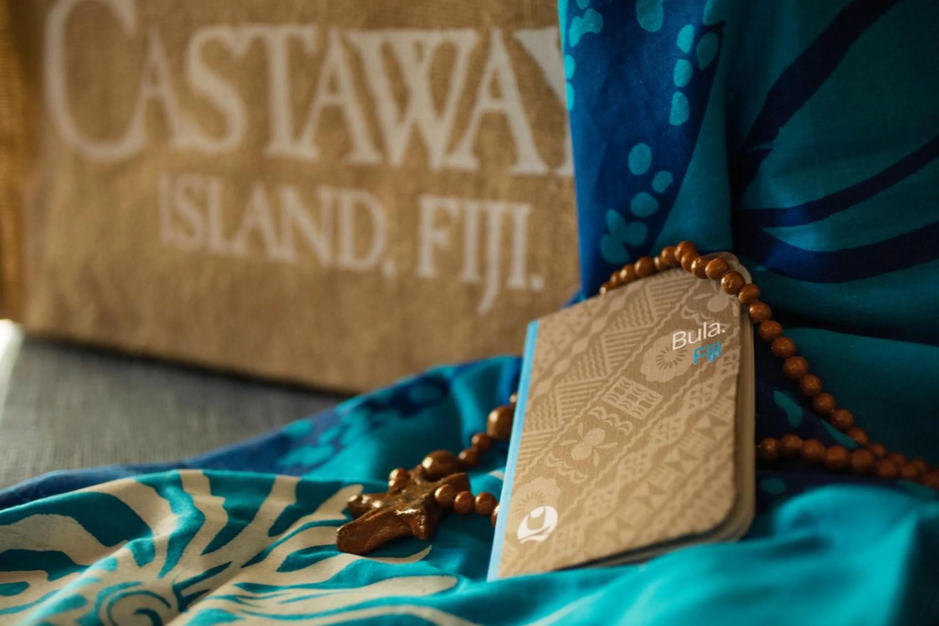 VIP in Castaway Island, Fiji