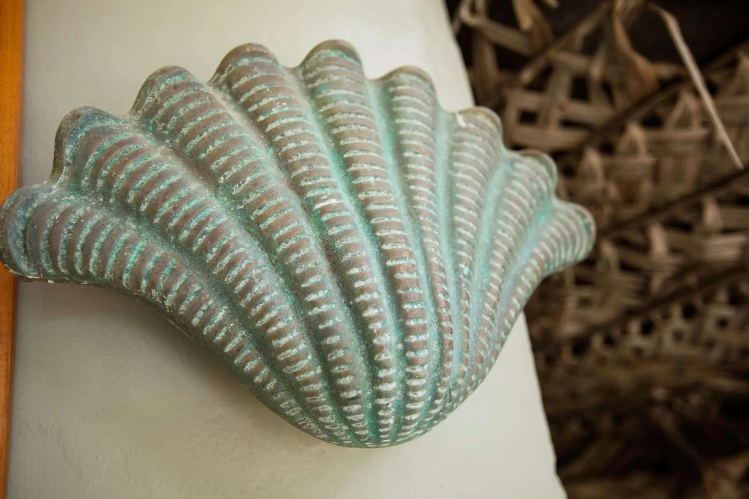 Other in Castaway Island, Fiji