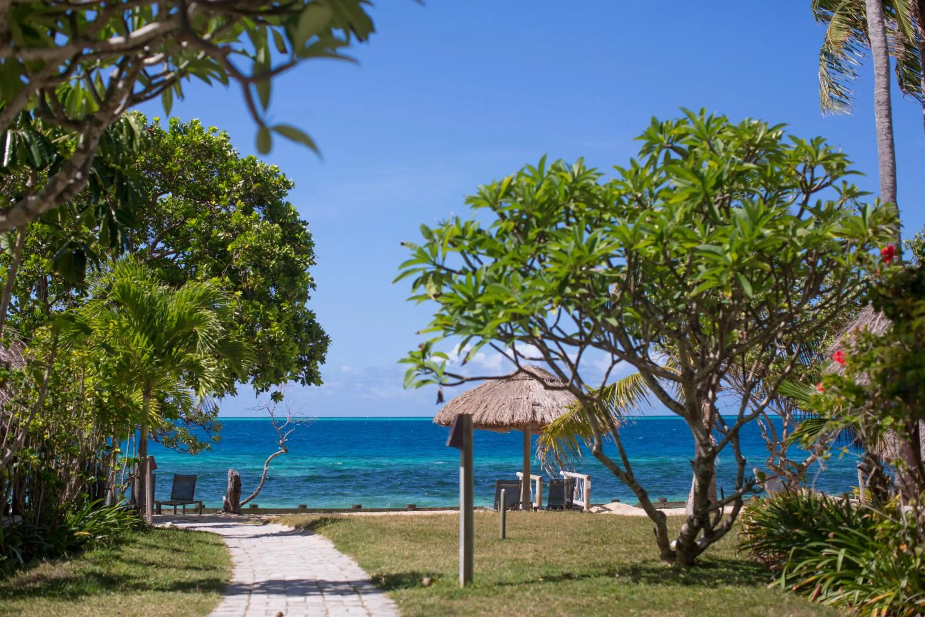 Castaway Island, Fiji