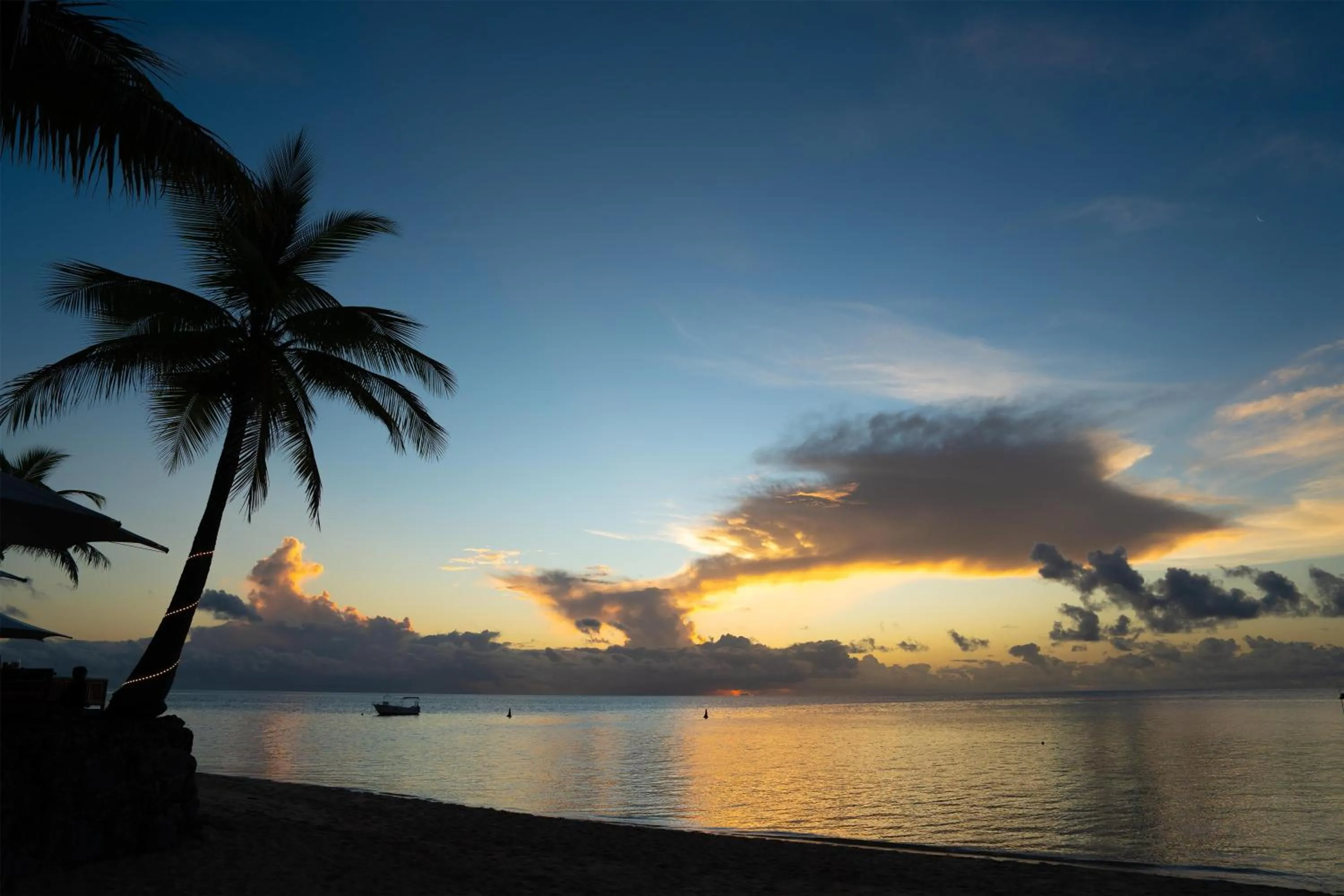 View (from property/room) in Castaway Island, Fiji