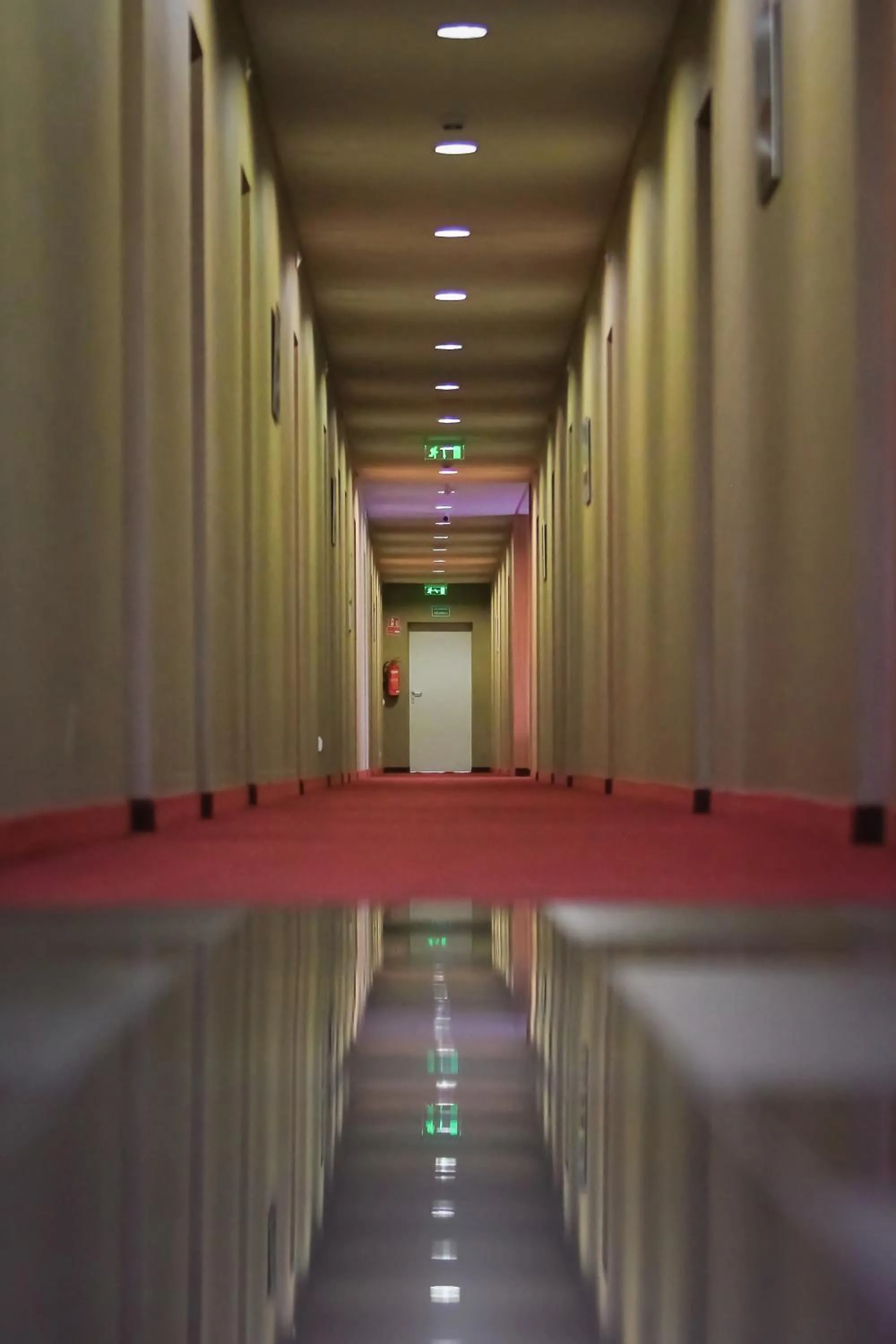 Area and facilities in Hotel Palma