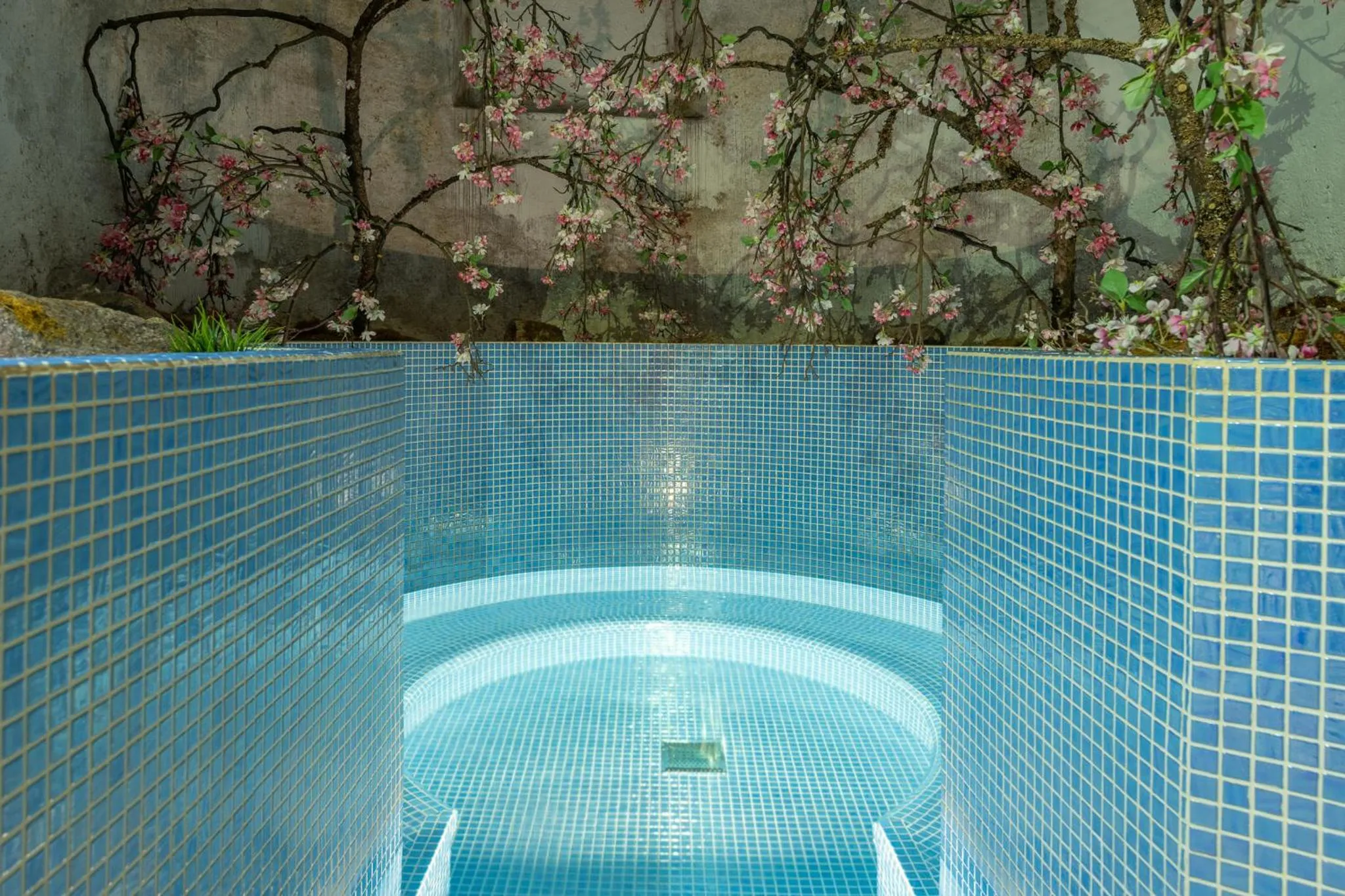 Pool view in Castle Spa Wagenküll