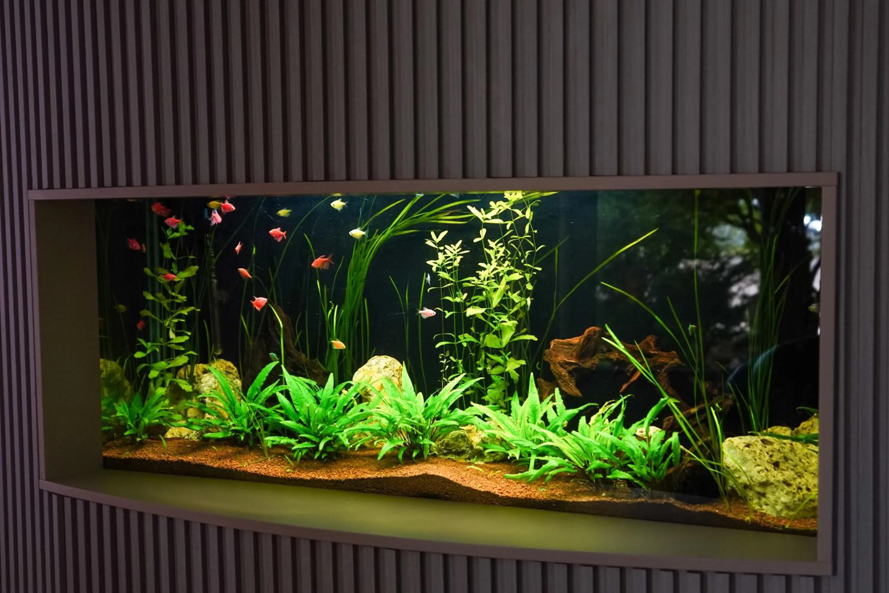 Lobby or reception in Hotel Opal