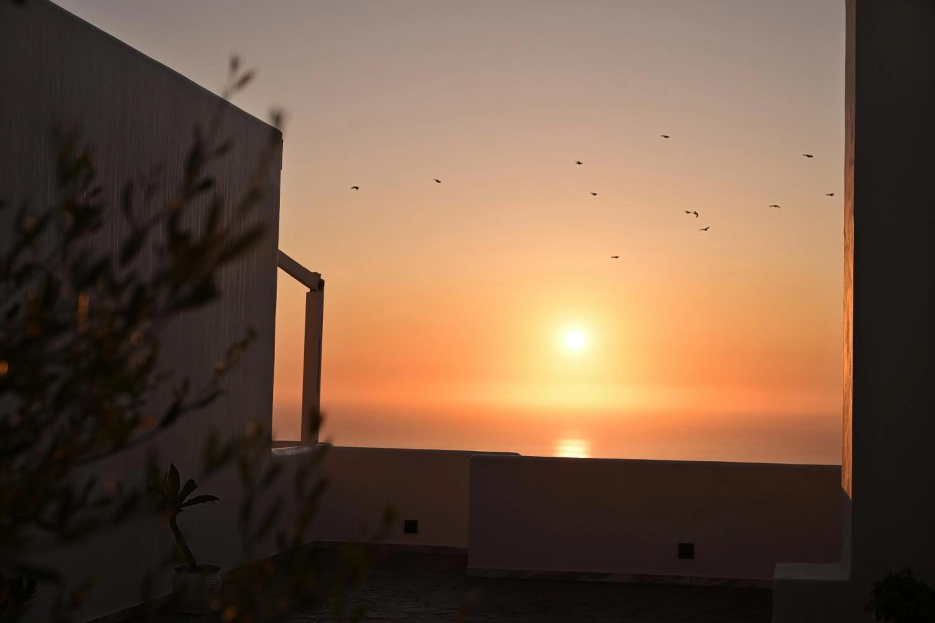 Splendour Hotel and Suites